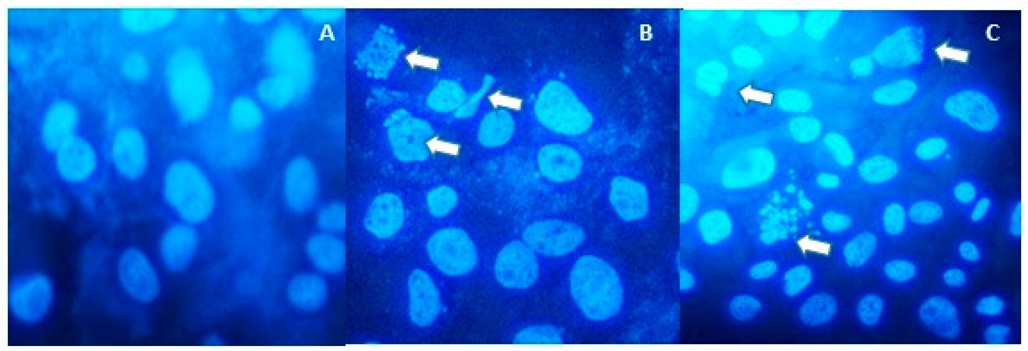 Molecules 24 02411 g005