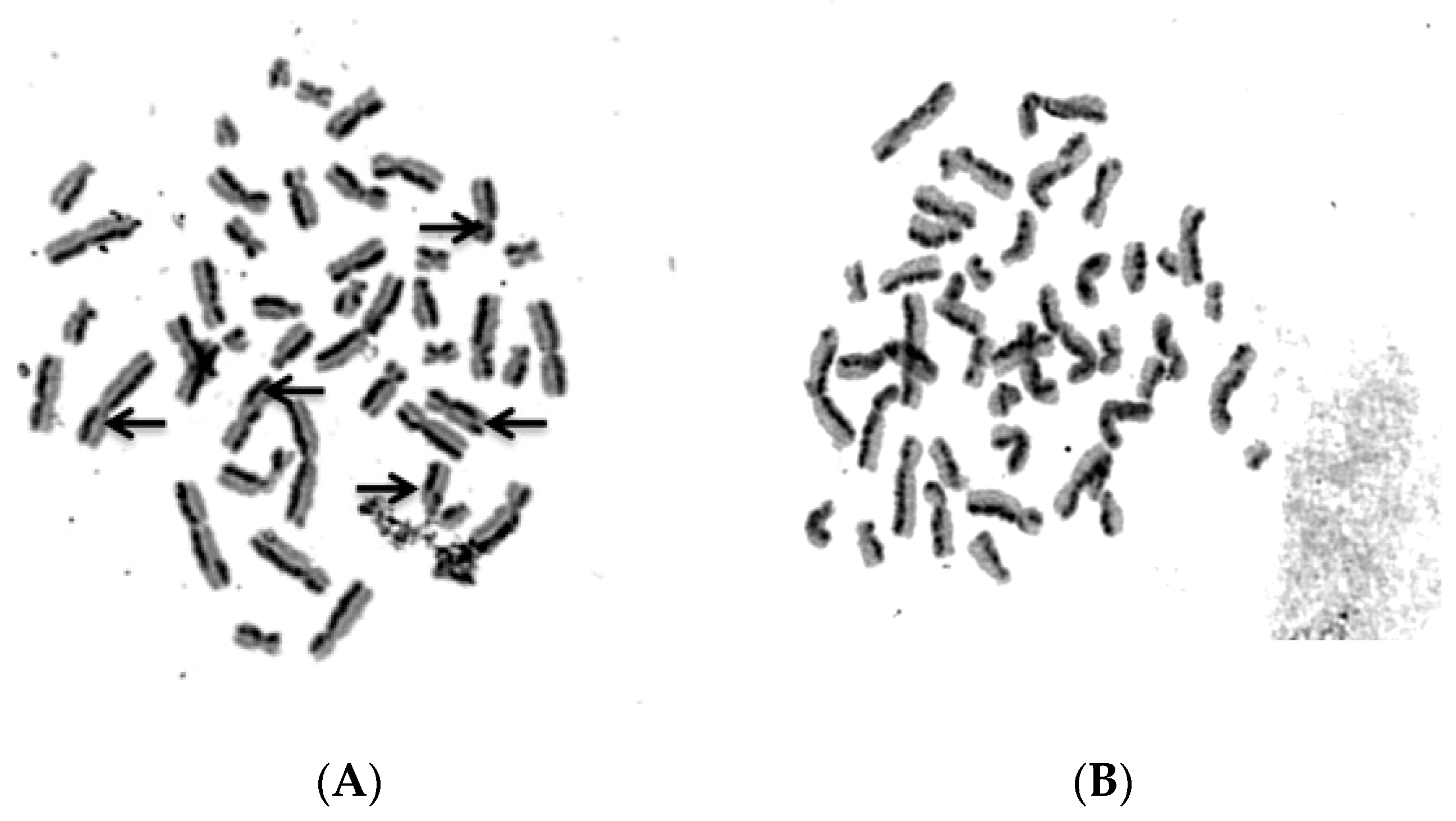 Molecules 24 02411 g012