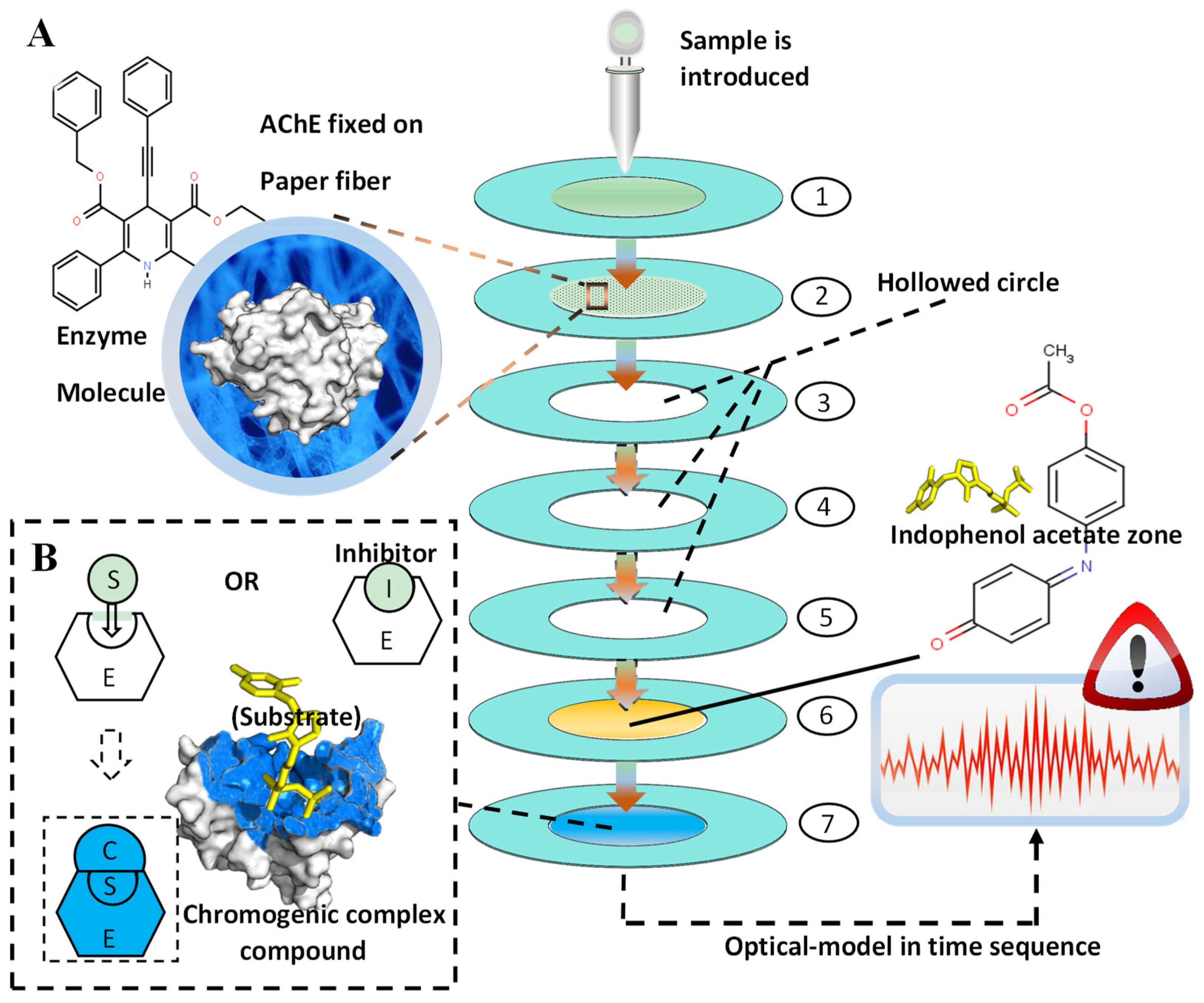 Molecules 24 02428 g006 Molecules 24 02428 g006