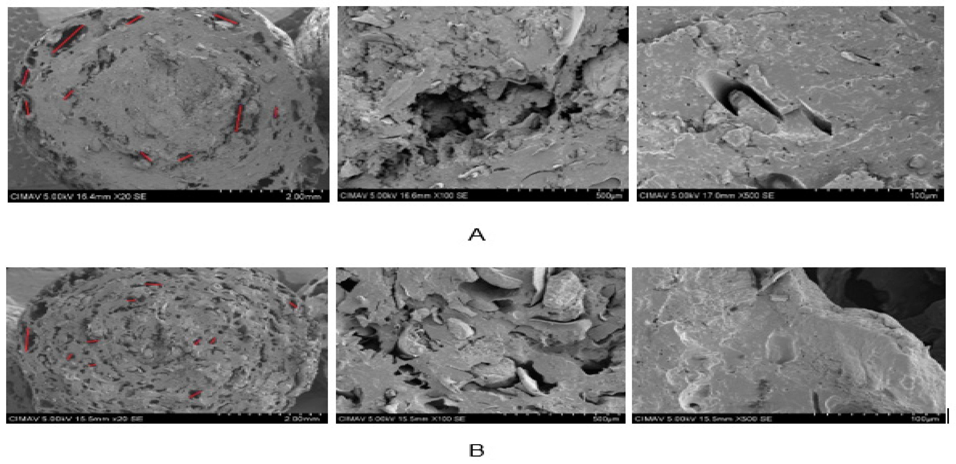 Molecules 24 02430 g011 Molecules 24 02430 g011