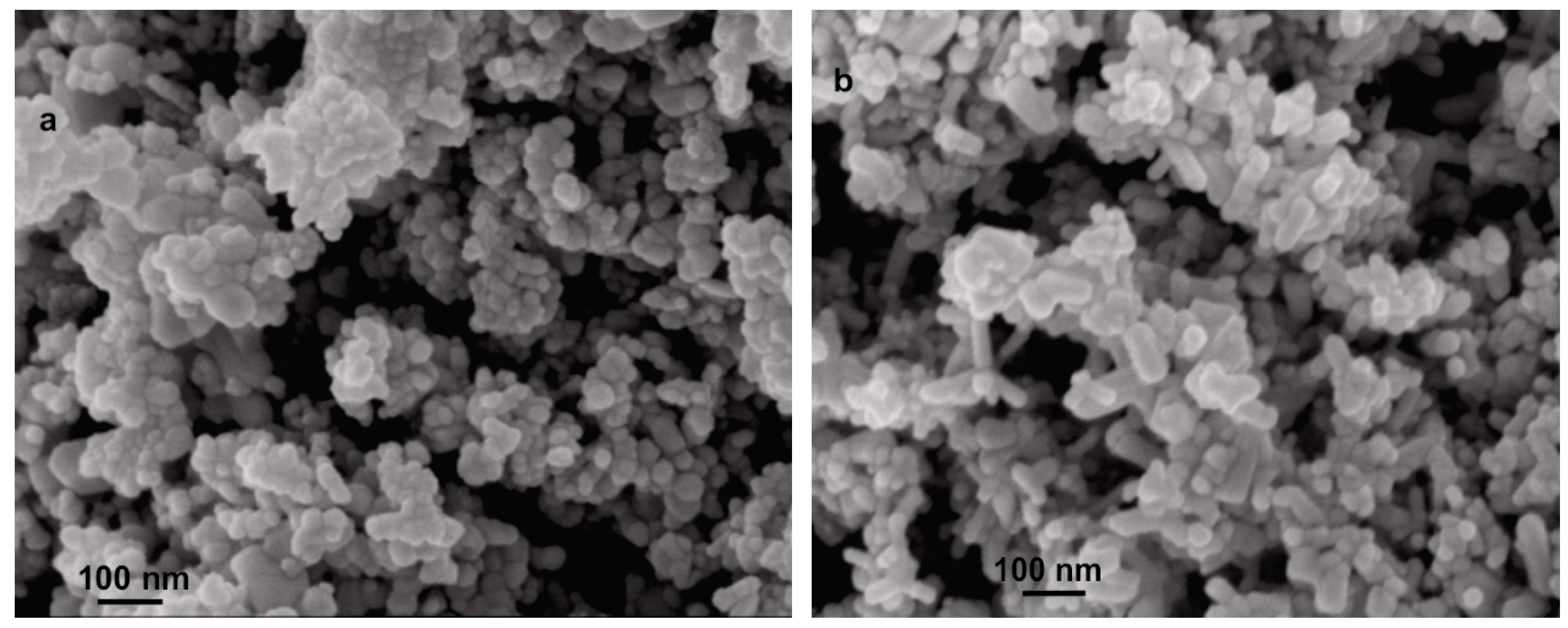 Molecules 24 02432 g001 Molecules 24 02432 g001