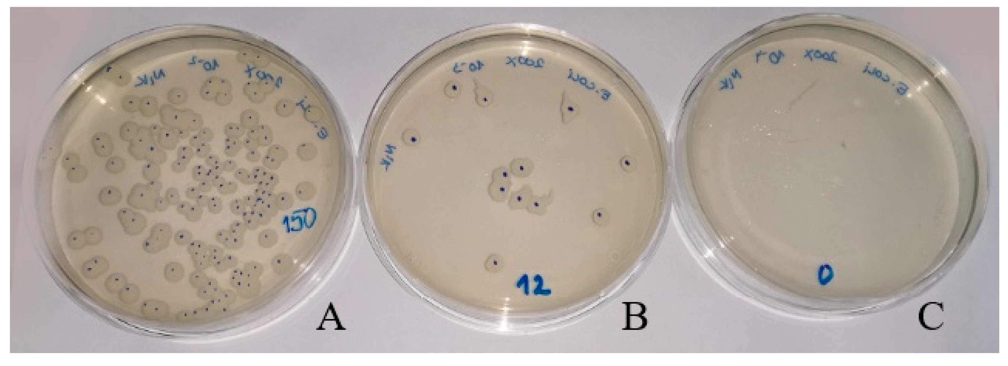 Molecules 24 02432 g006 Molecules 24 02432 g006