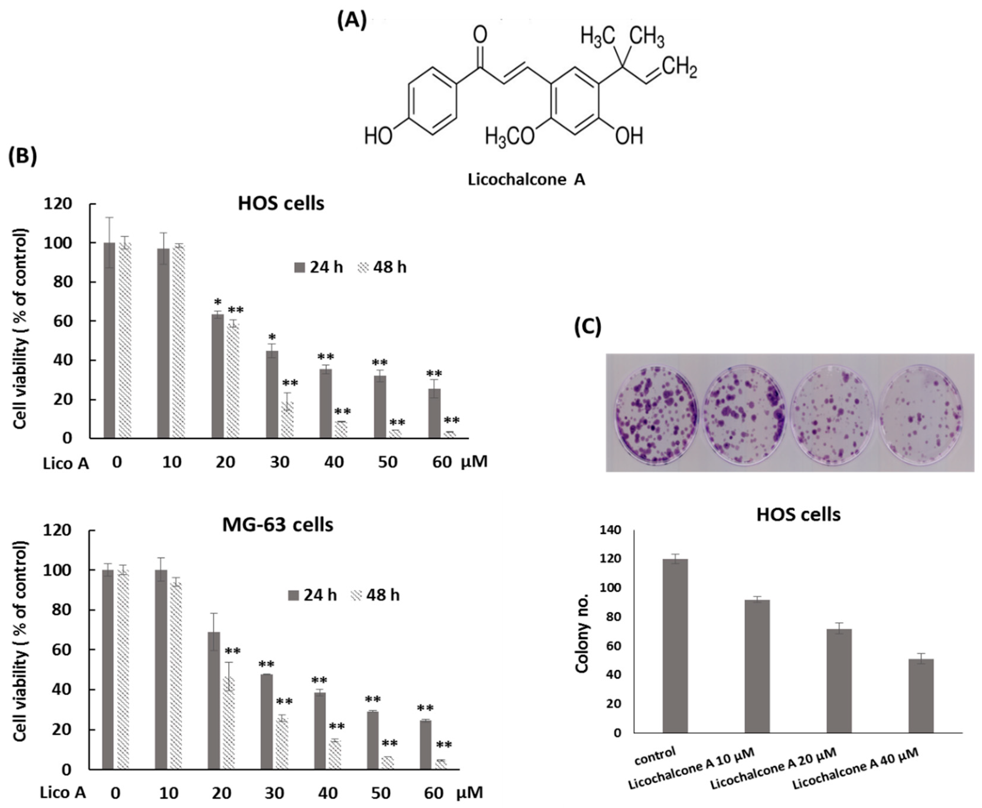 Molecules 24 02435 g001