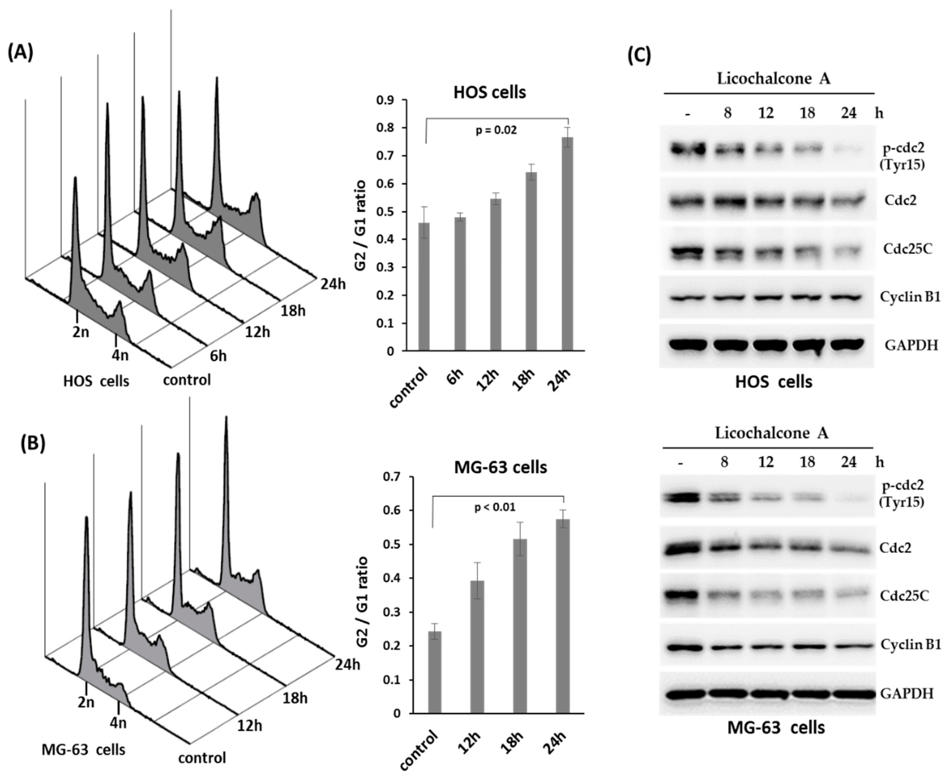 Molecules 24 02435 g003