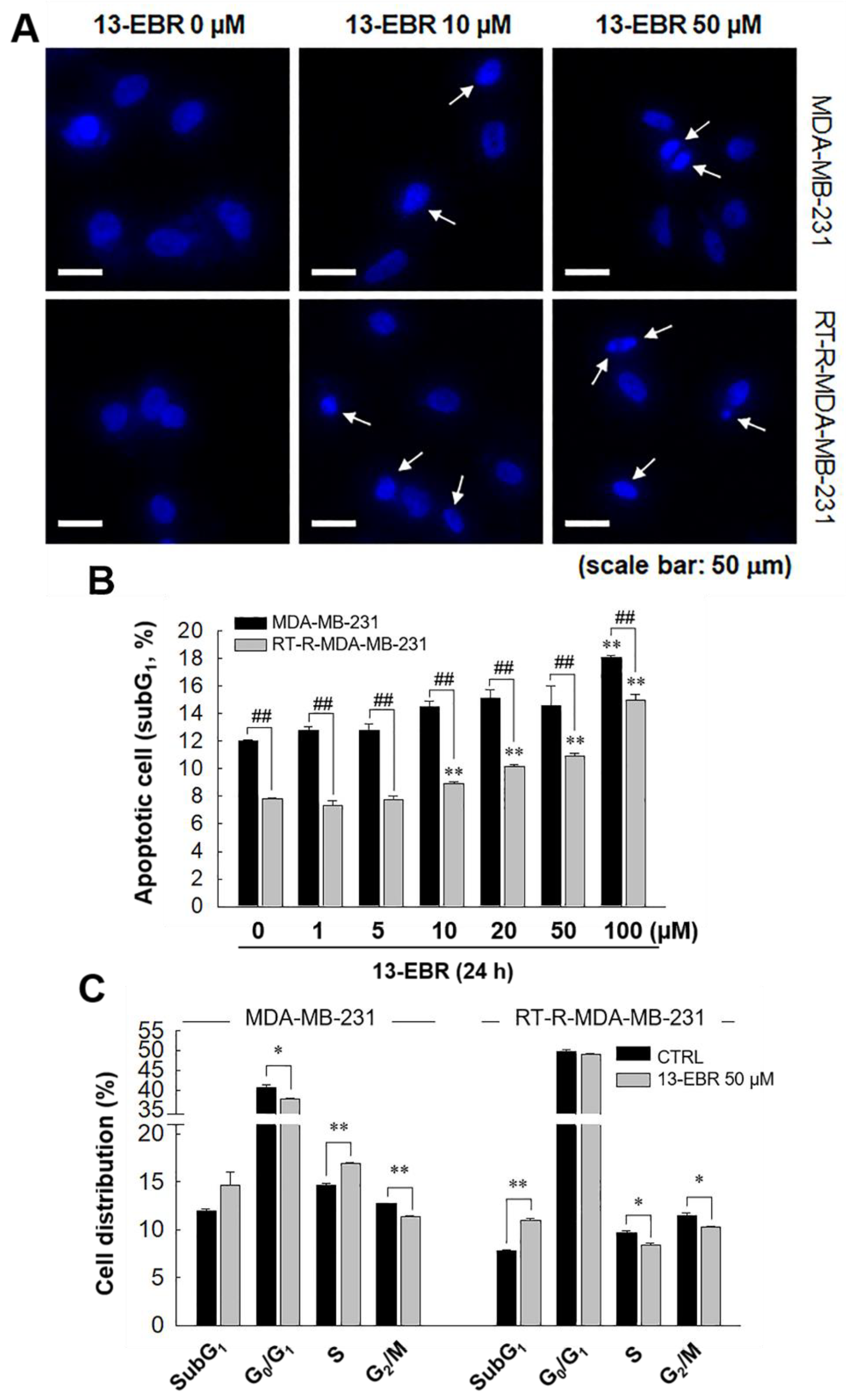 Molecules 24 02448 g003