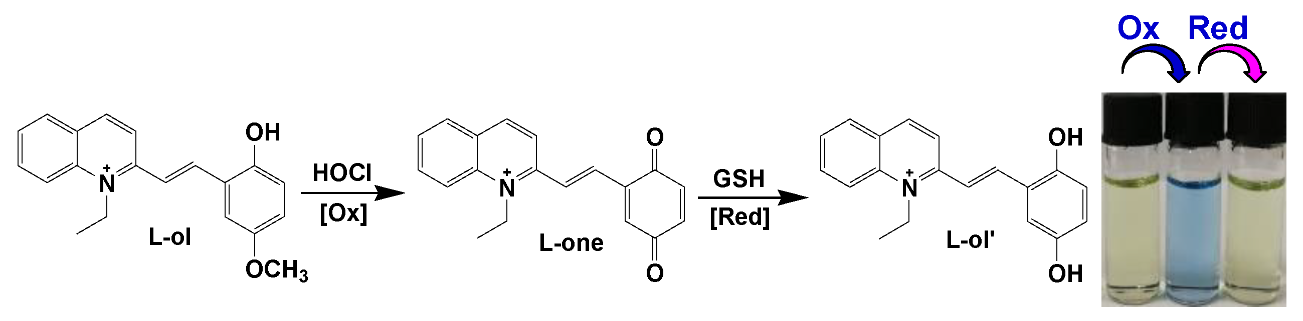 Molecules 24 02455 sch001 Molecules 24 02455 sch001