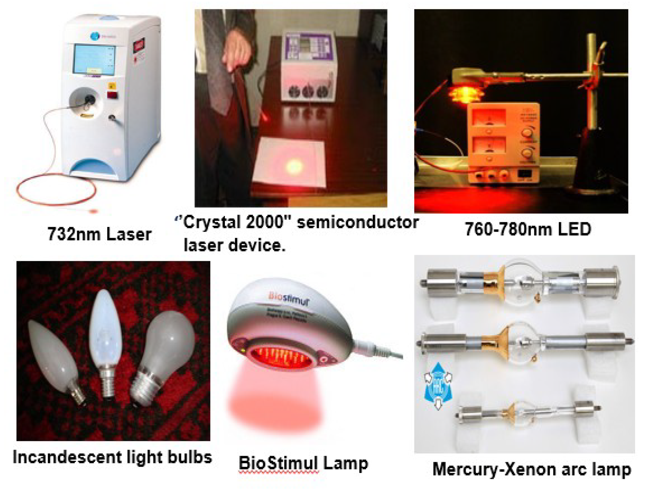 Molecules 24 02456 g007 550