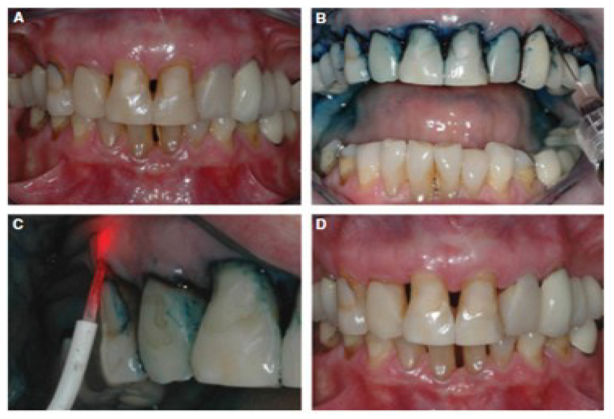 Molecules 24 02456 g012 550