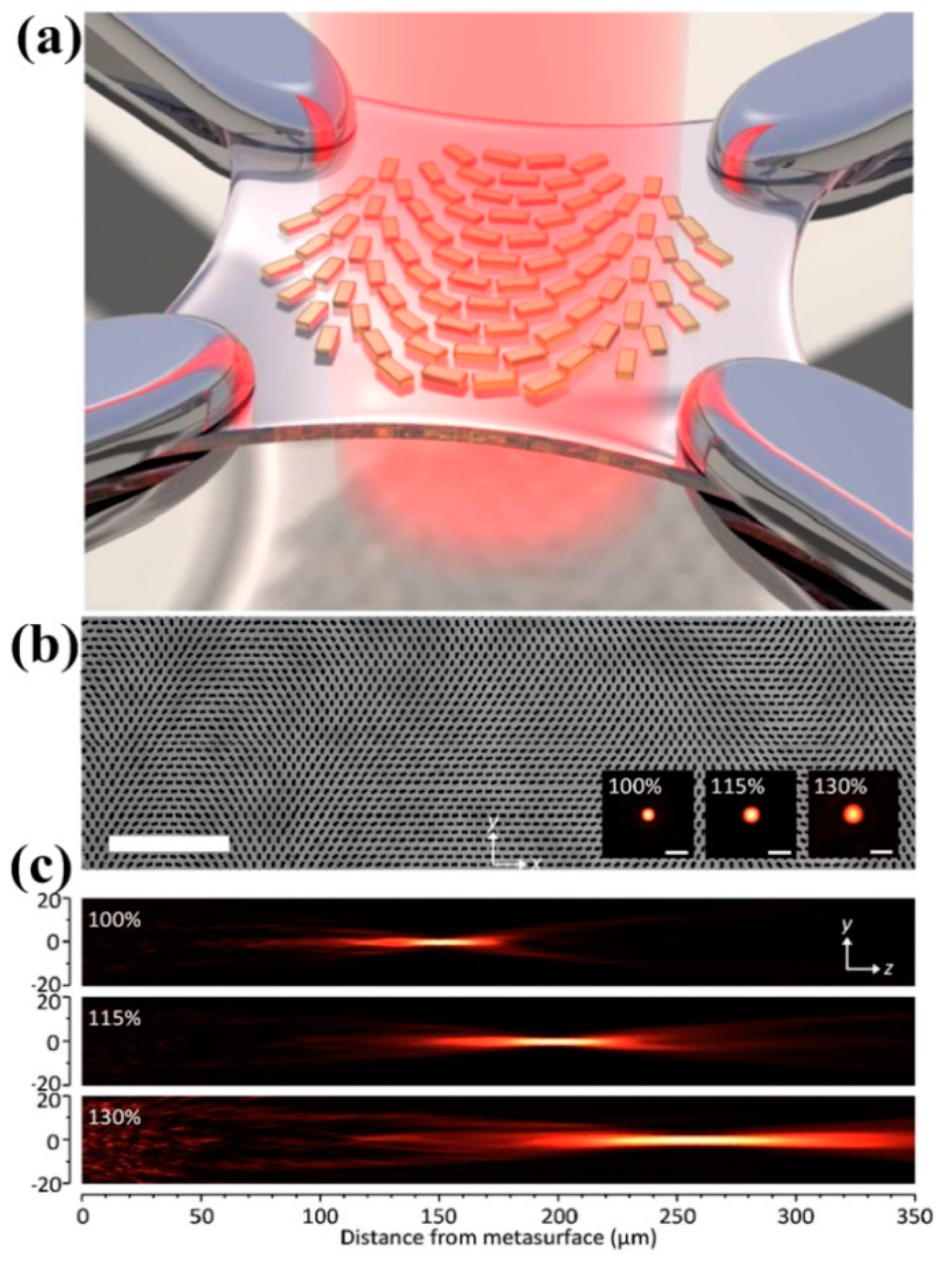 Molecules 24 02460 g006