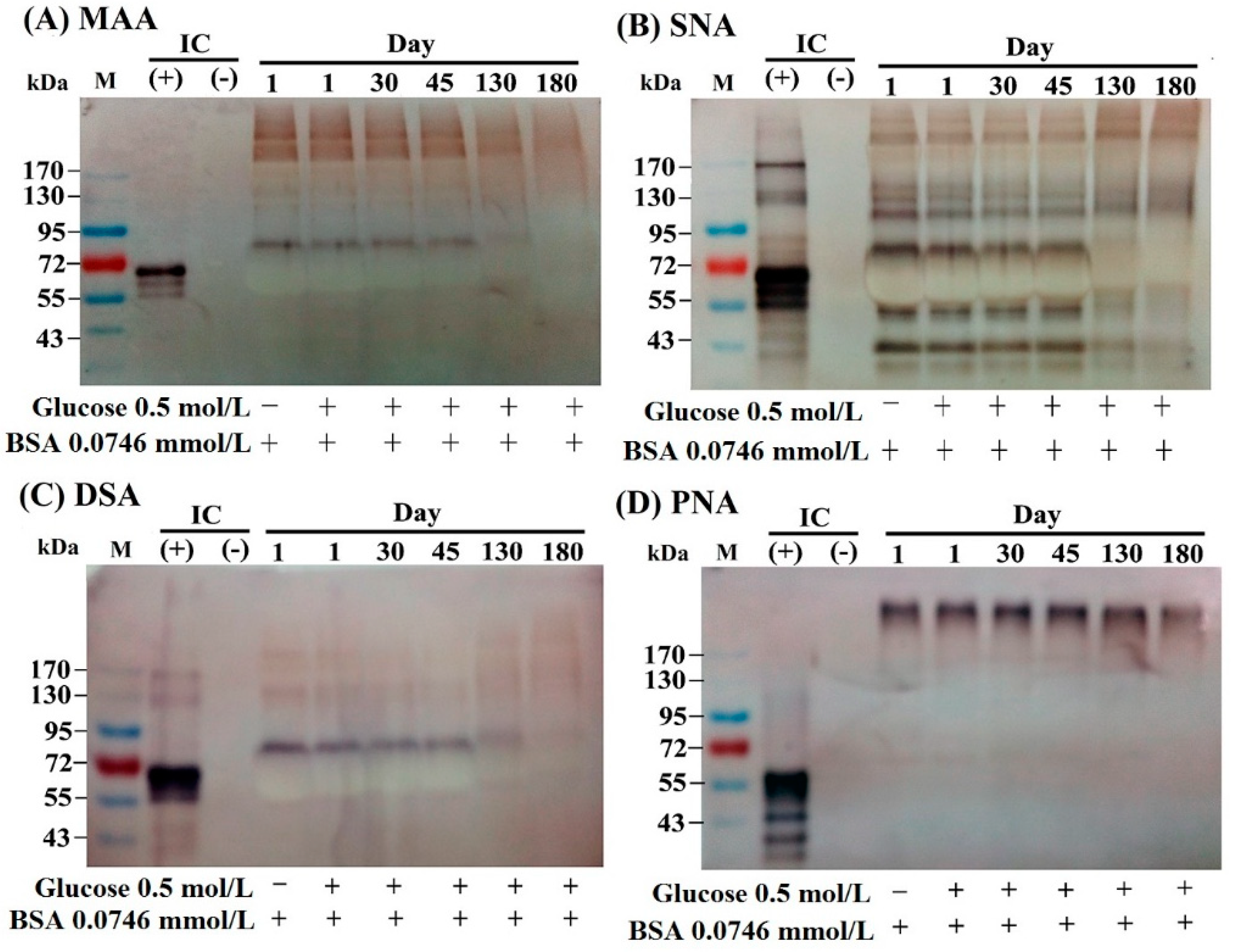 Molecules | Free Full-Text | Advanced Glycation End Products of Bovine