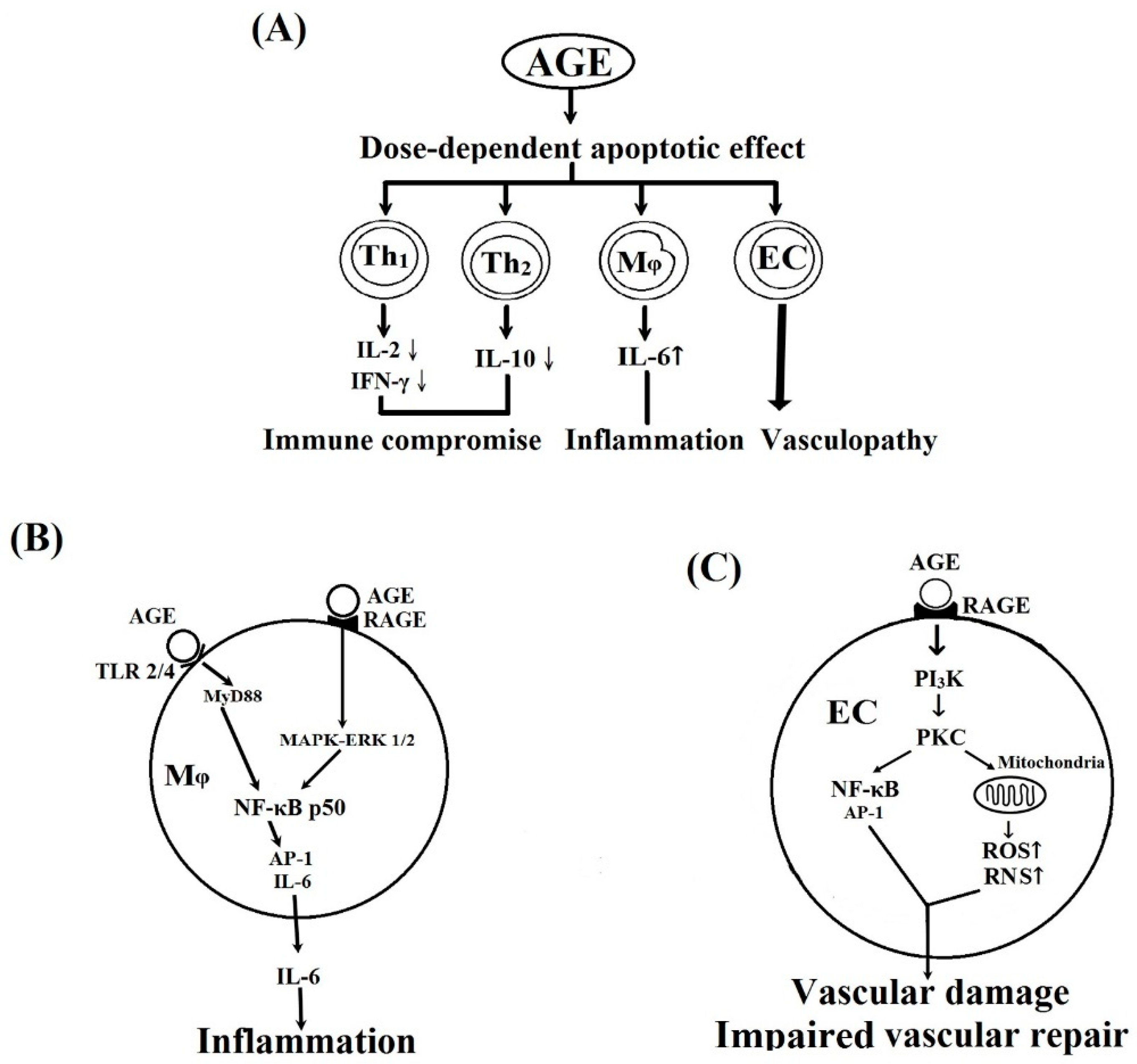 Molecules 24 02461 g006 Molecules 24 02461 g006