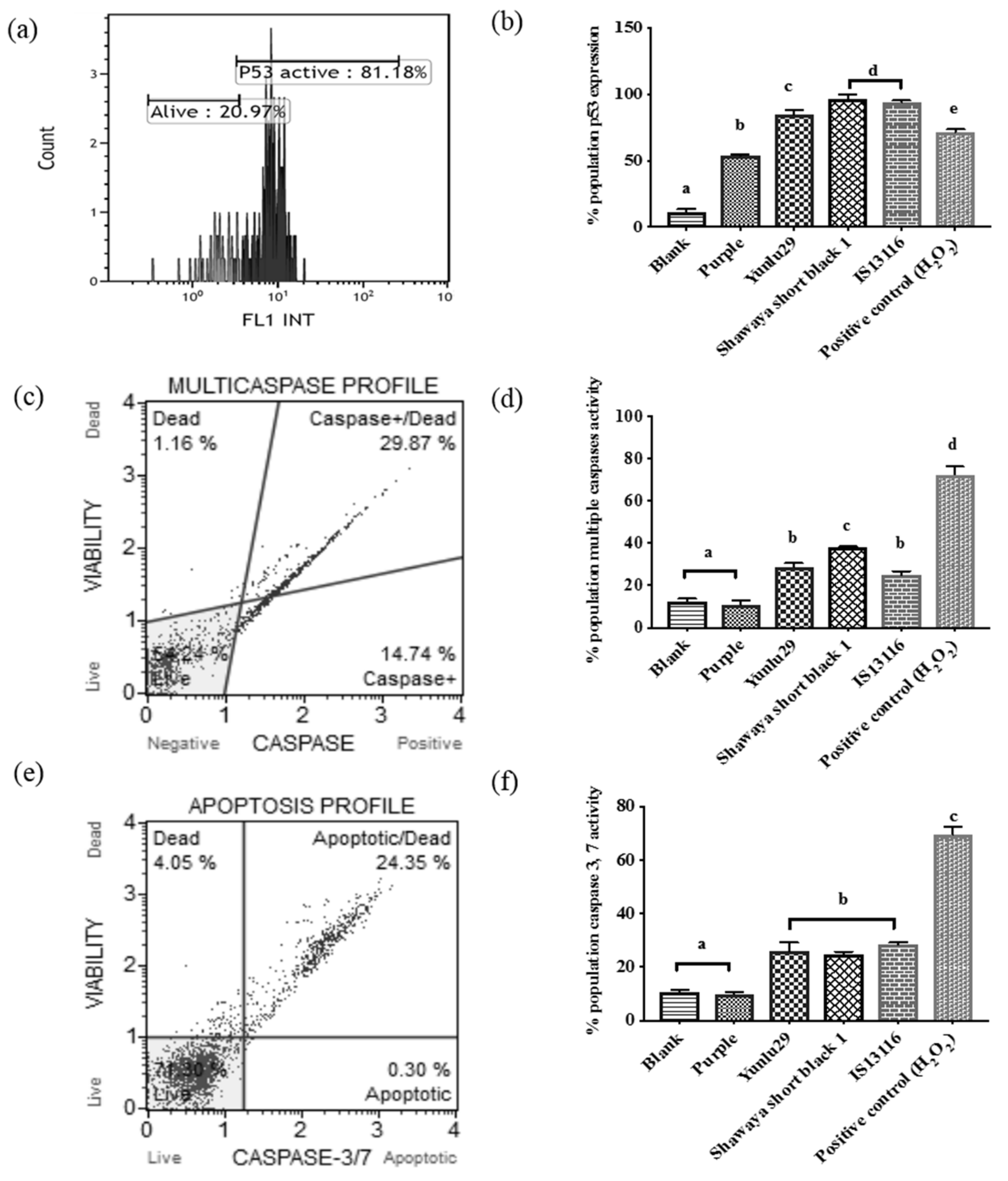 Molecules 24 02465 g004