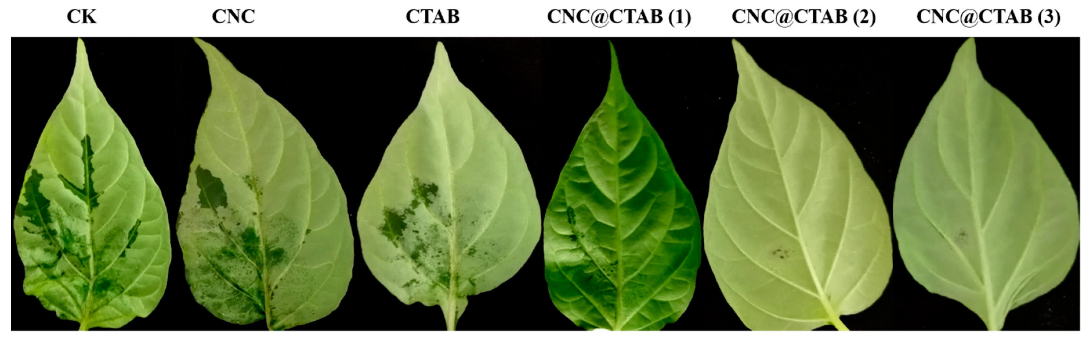 Molecules 24 02467 g004 Molecules 24 02467 g004