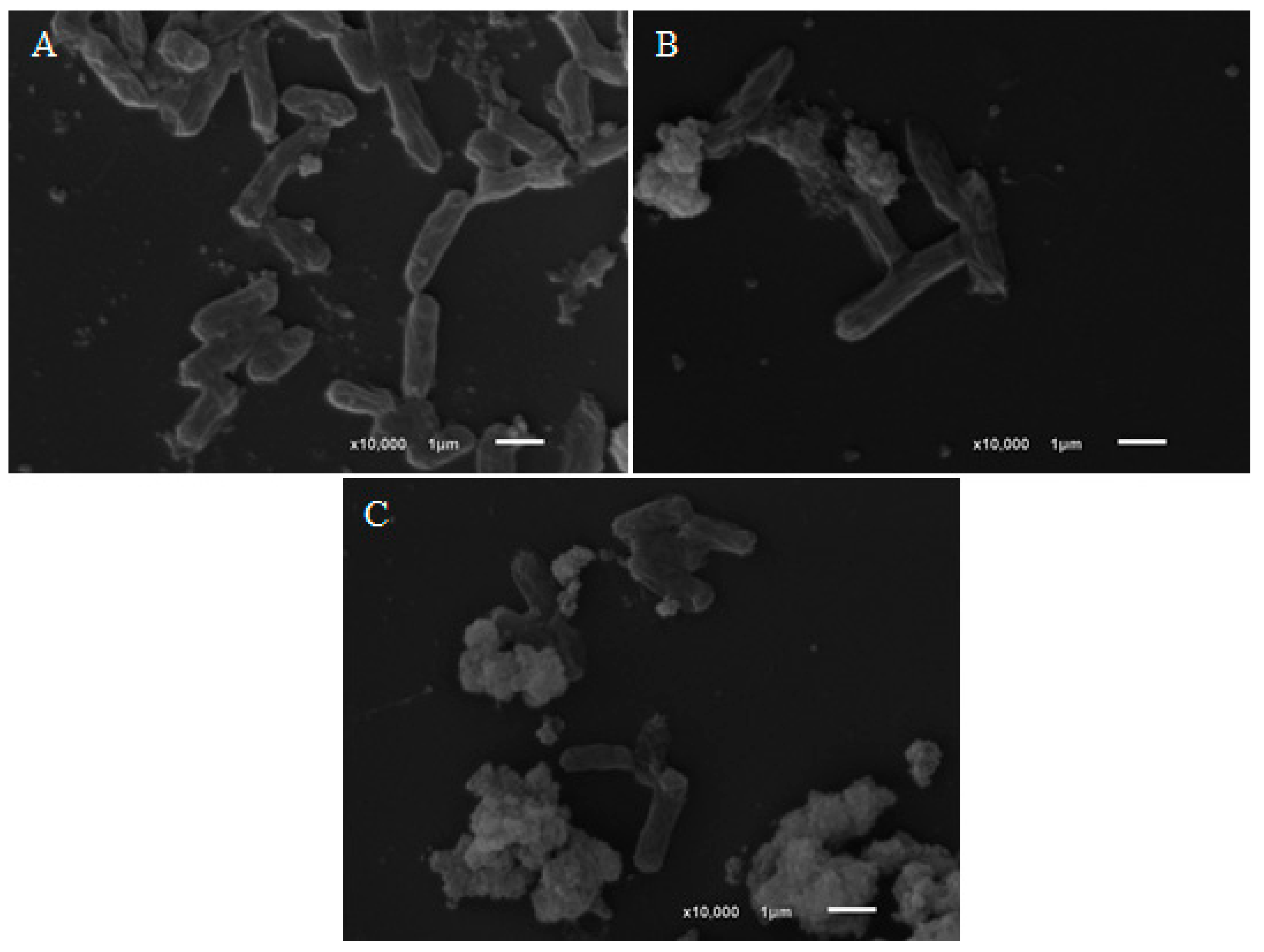 Molecules 24 02471 g004 550