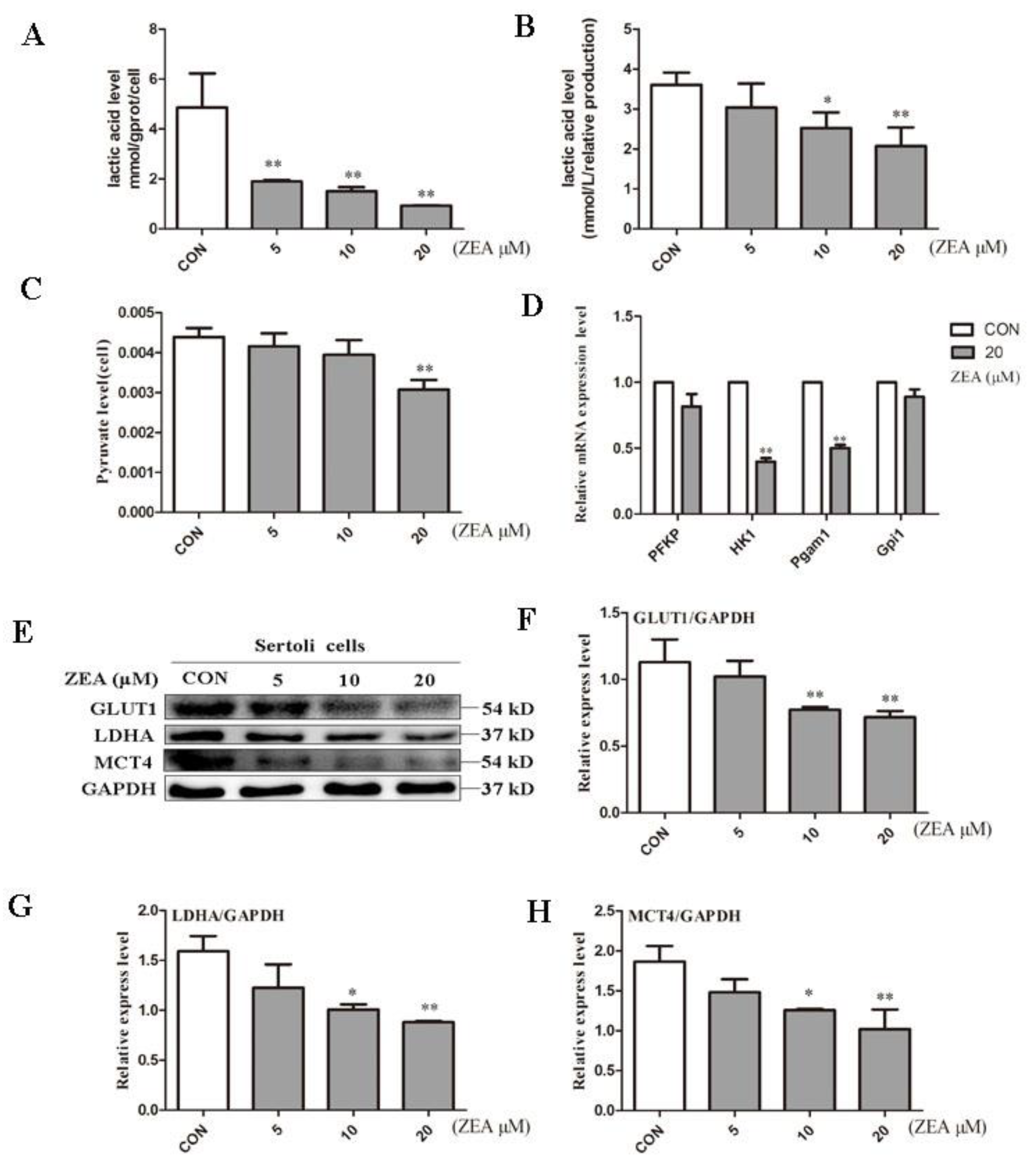 Molecules 24 02474 g002