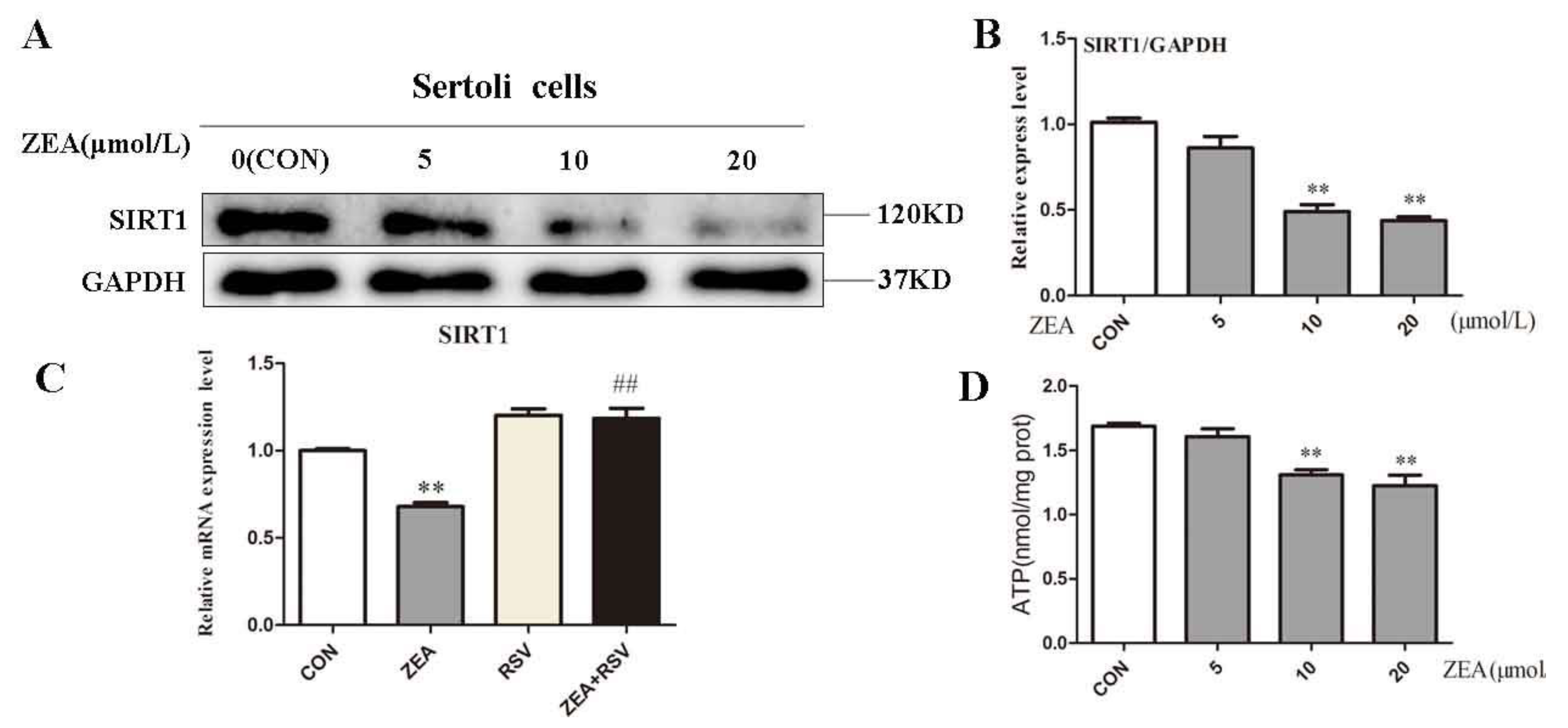 Molecules 24 02474 g003