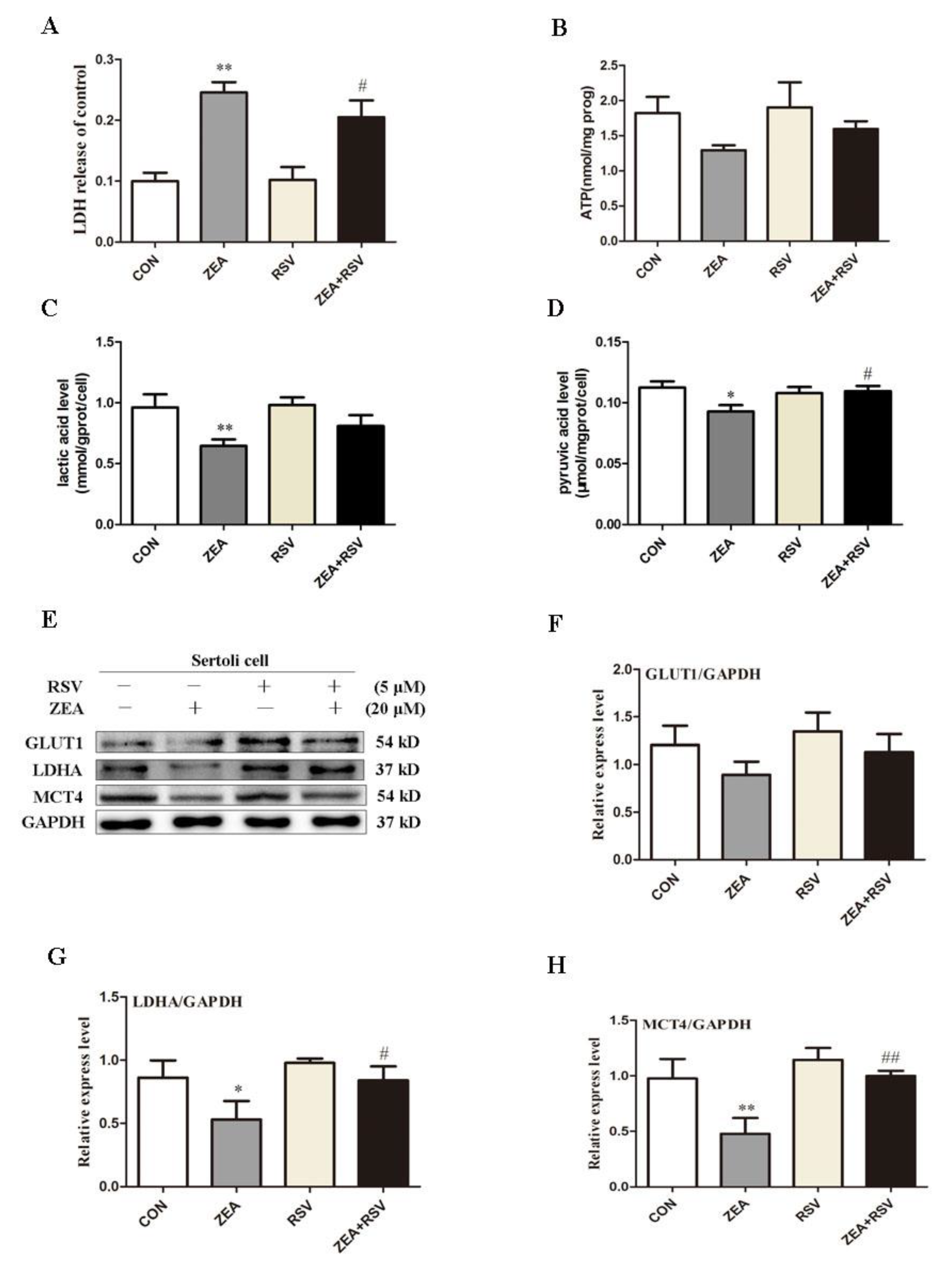 Molecules 24 02474 g004