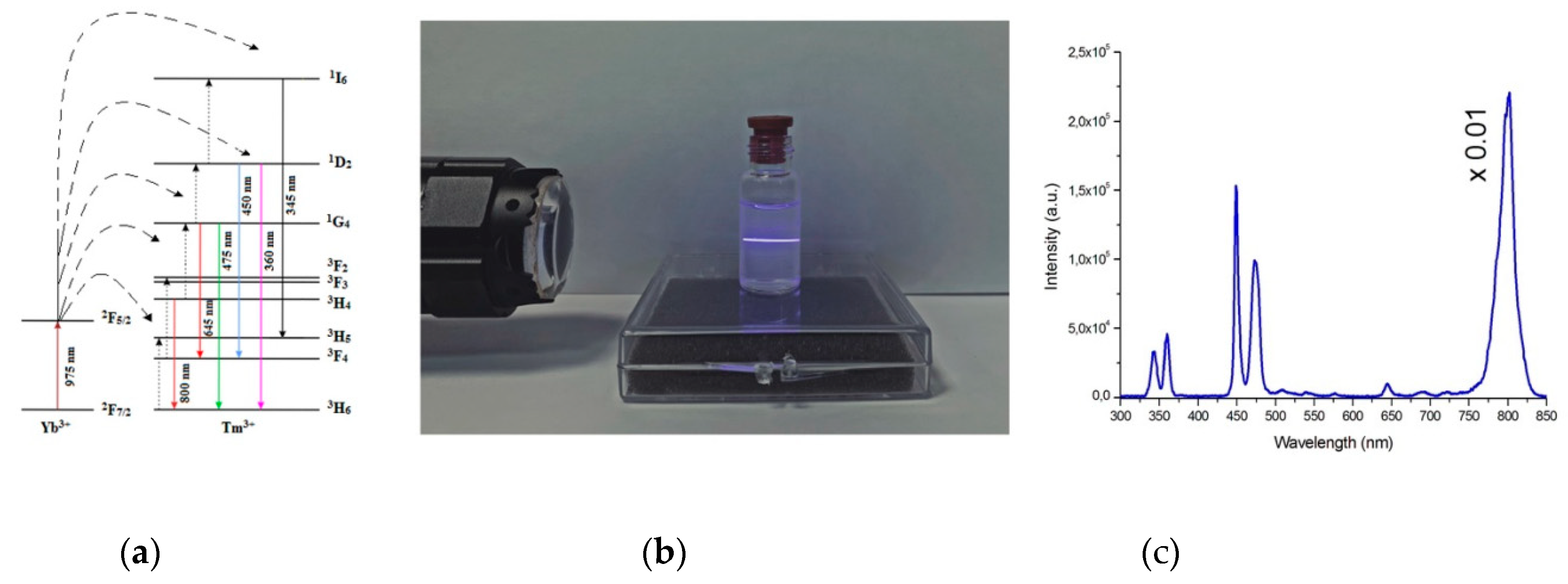 Molecules 24 02476 g002
