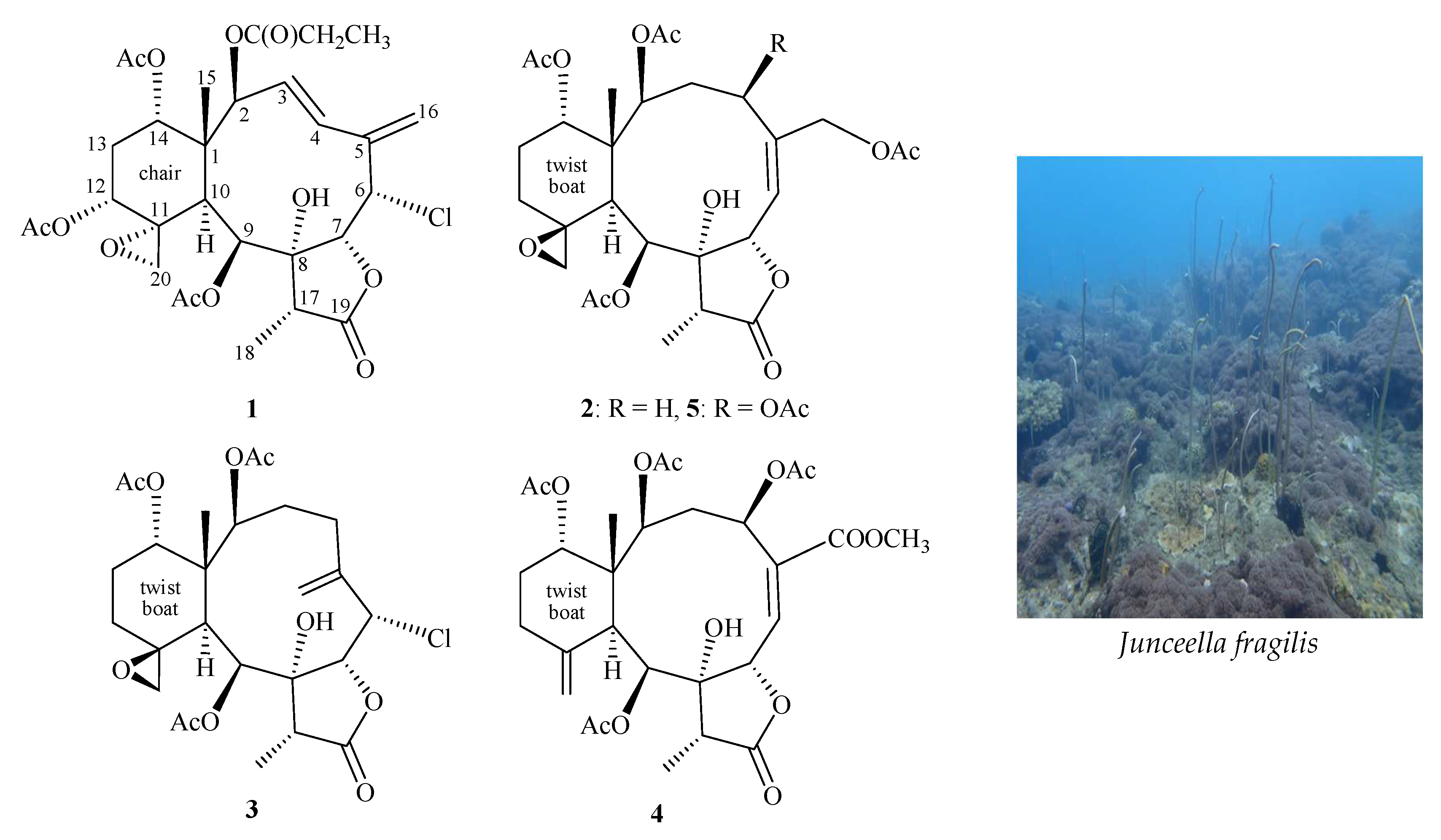 Molecules 24 02487 g001