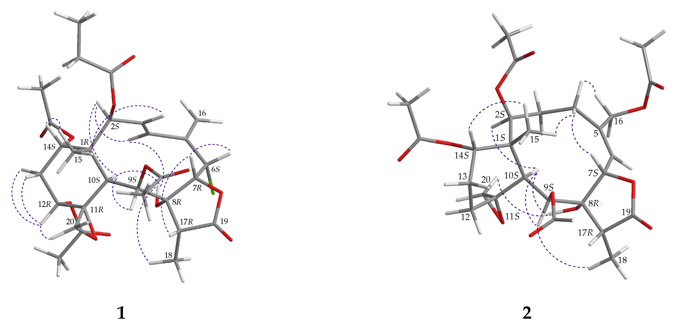 Molecules 24 02487 g003