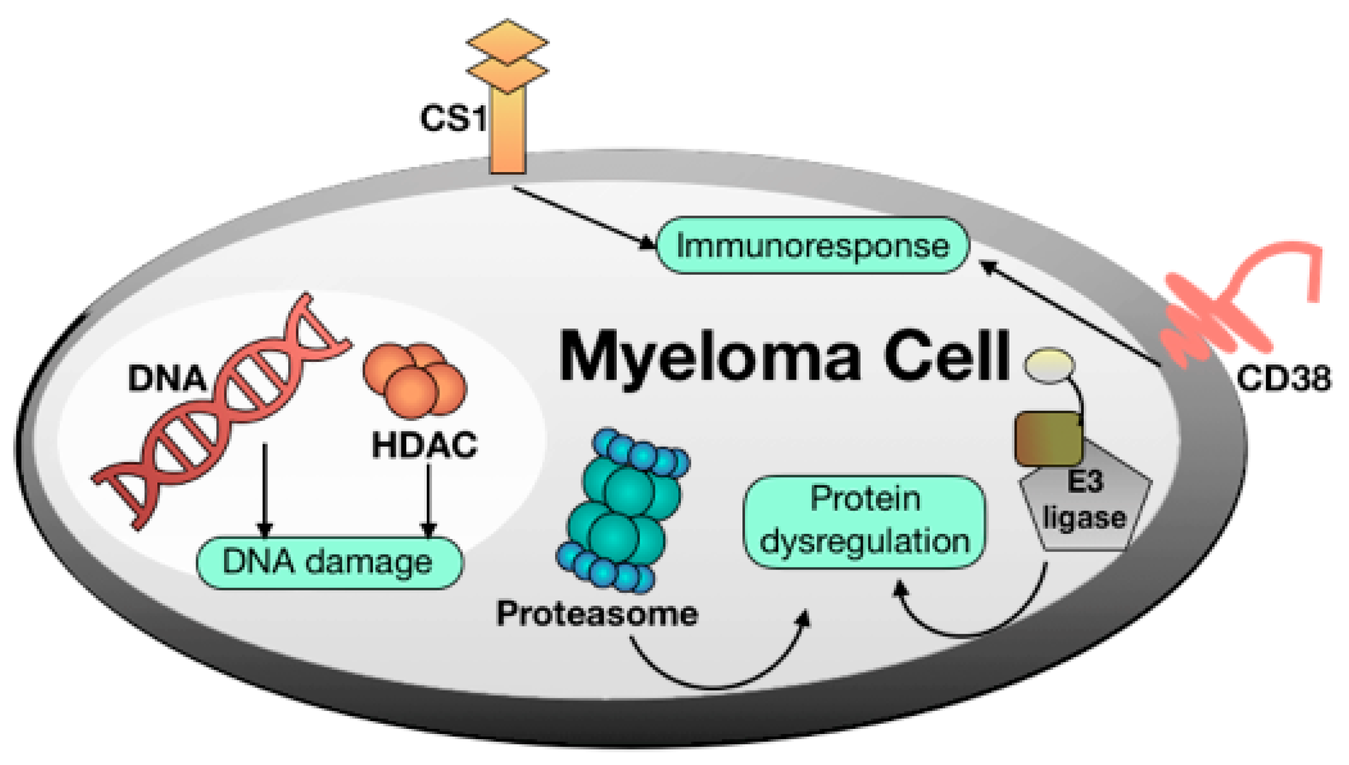 Molecules 24 02500 g001 Molecules 24 02500 g001