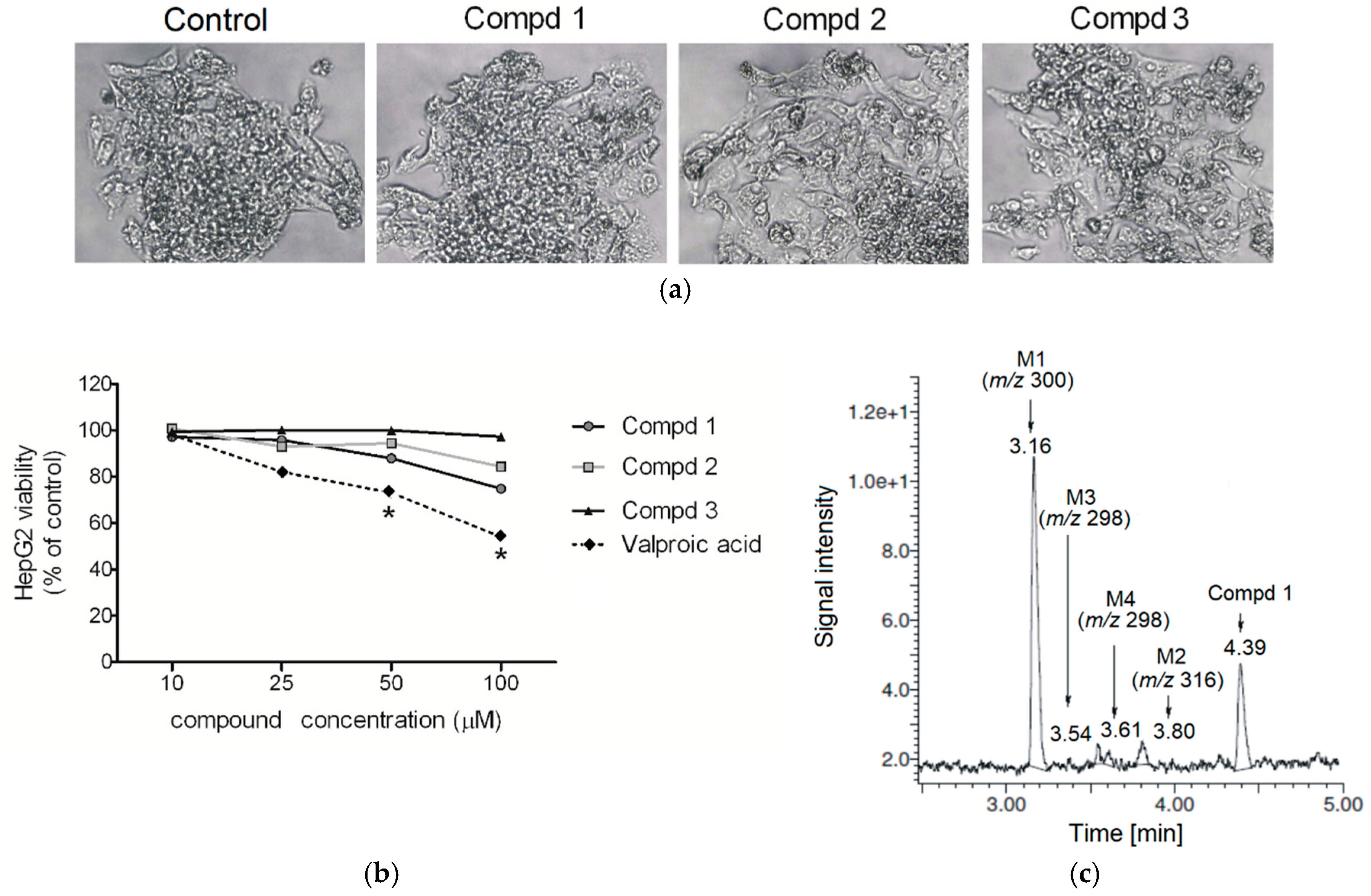 Molecules 24 02505 g004