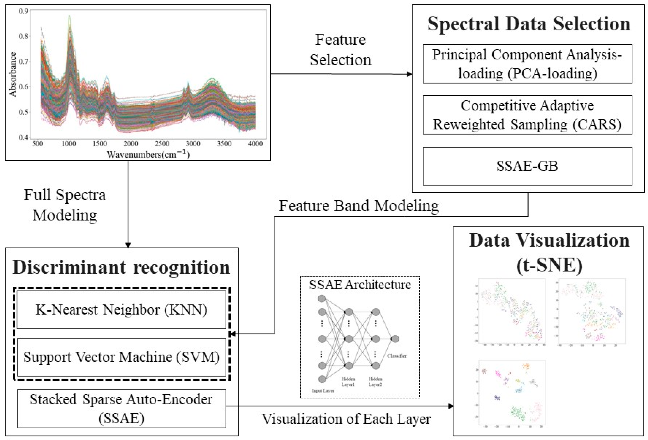 Molecules 24 02506 g006