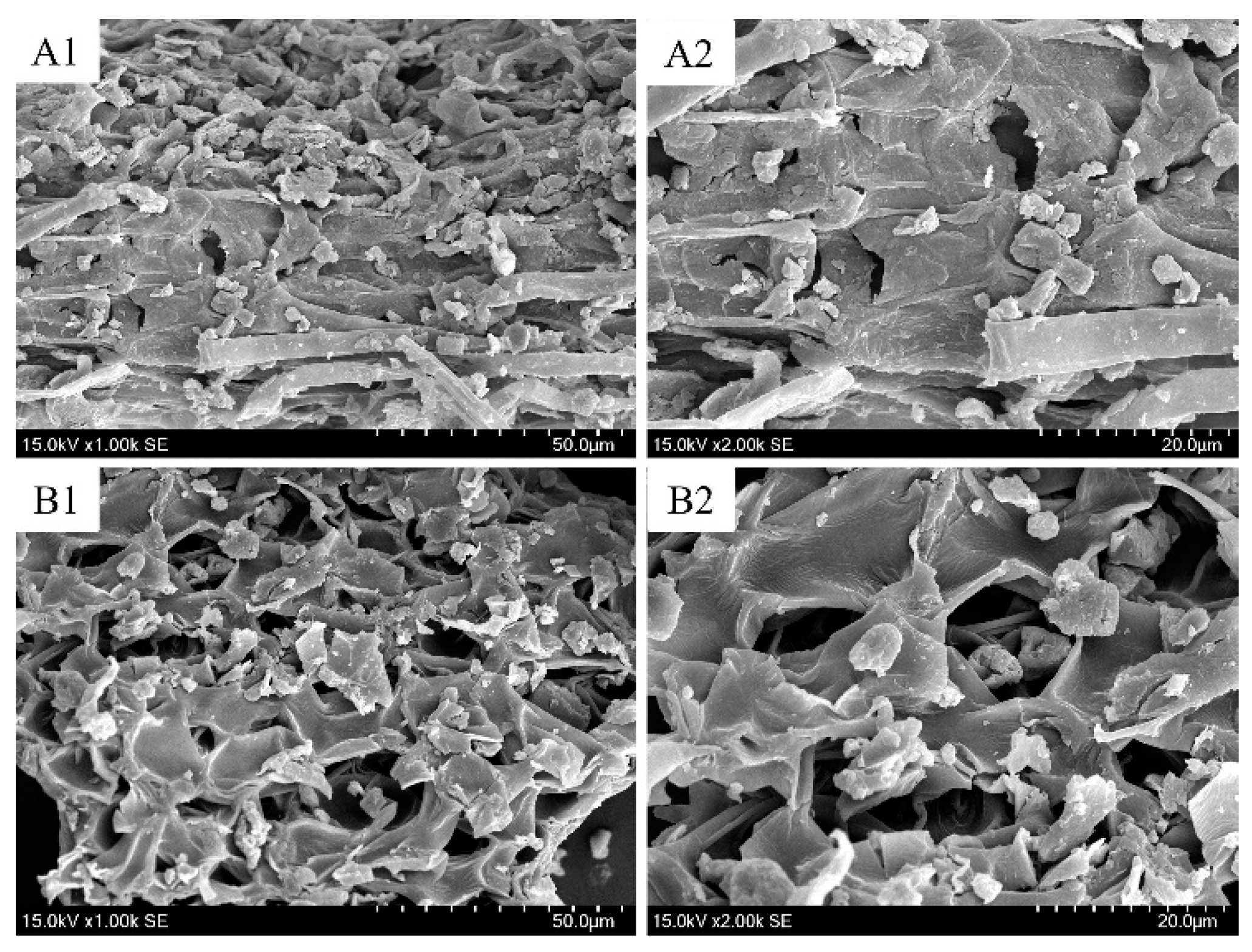 Molecules 24 02507 g010