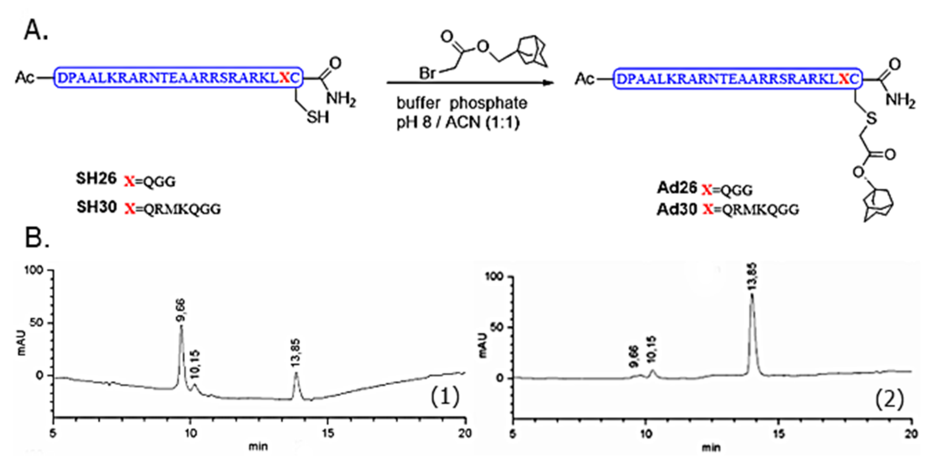 Molecules 24 02508 g003