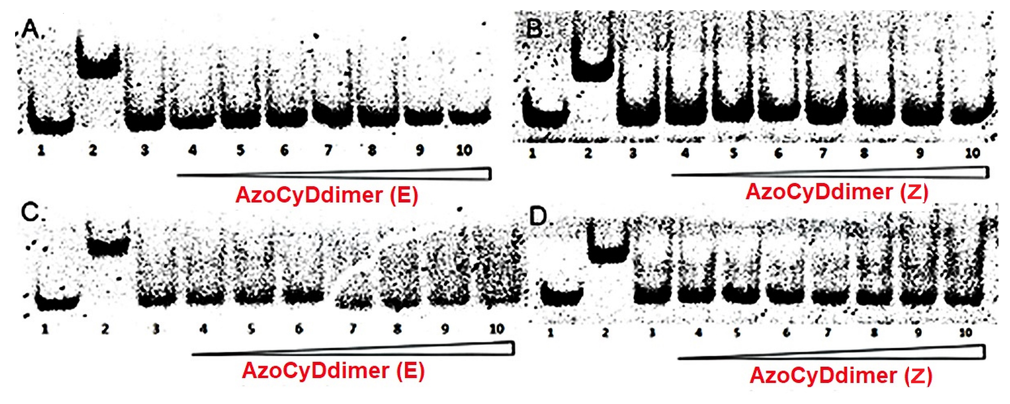 Molecules 24 02508 g004