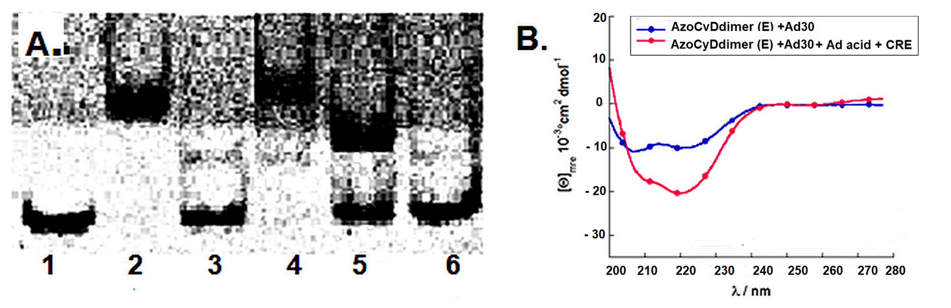 Molecules 24 02508 g007