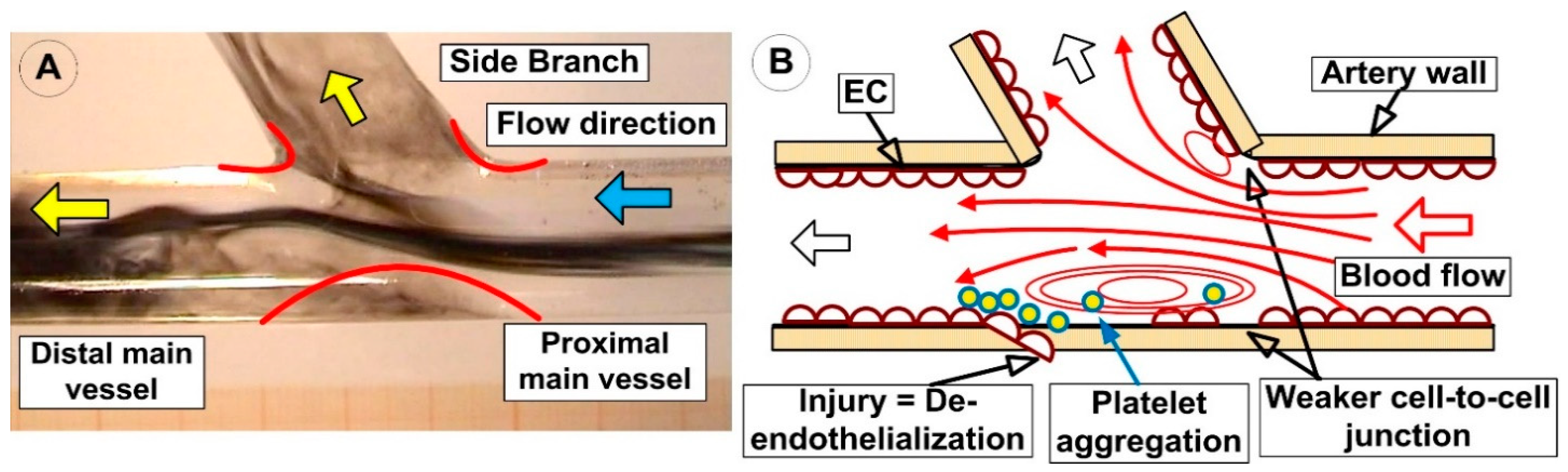 Molecules 24 02509 g002 Molecules 24 02509 g002