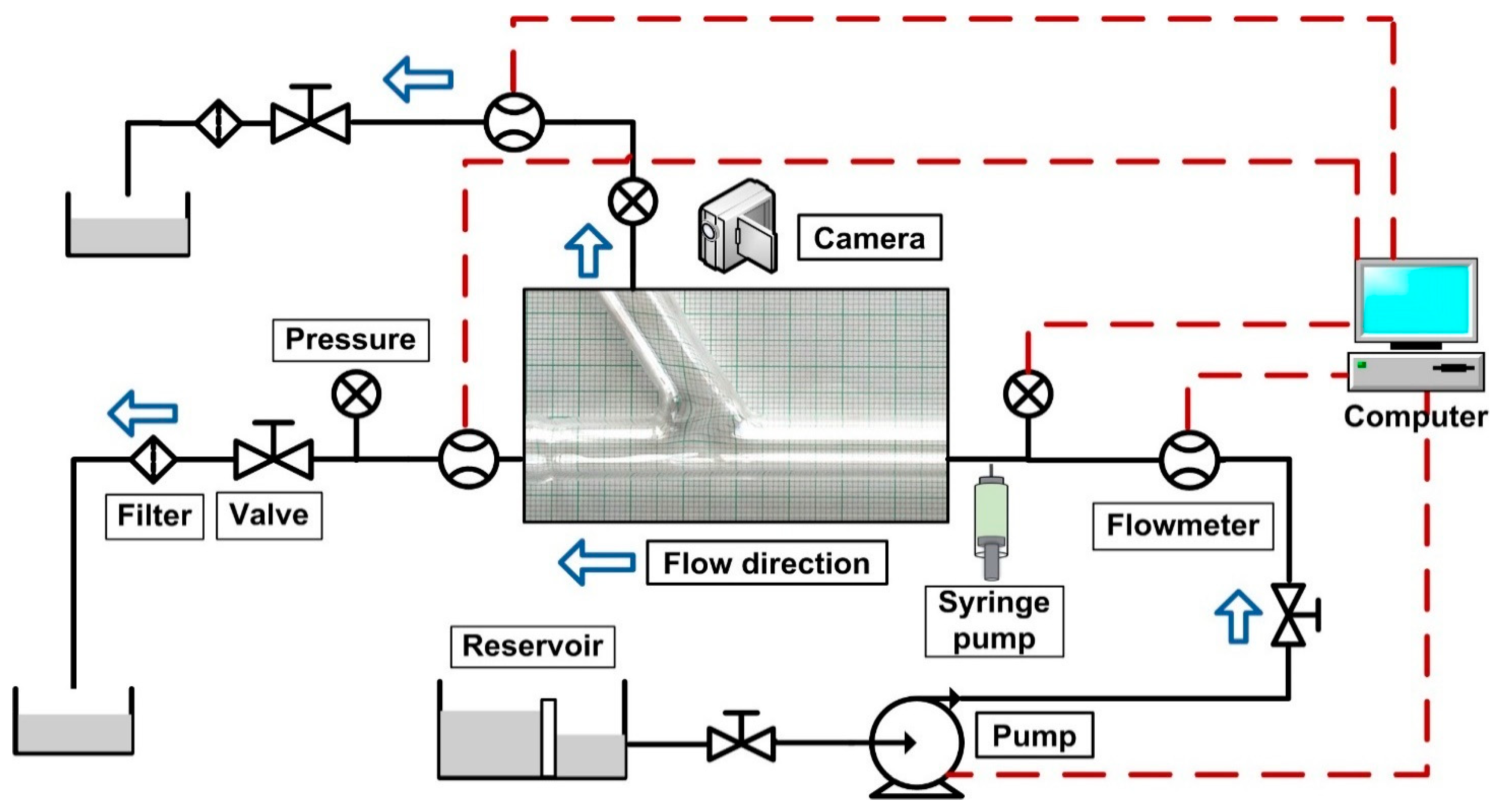 Molecules 24 02509 g003 Molecules 24 02509 g003