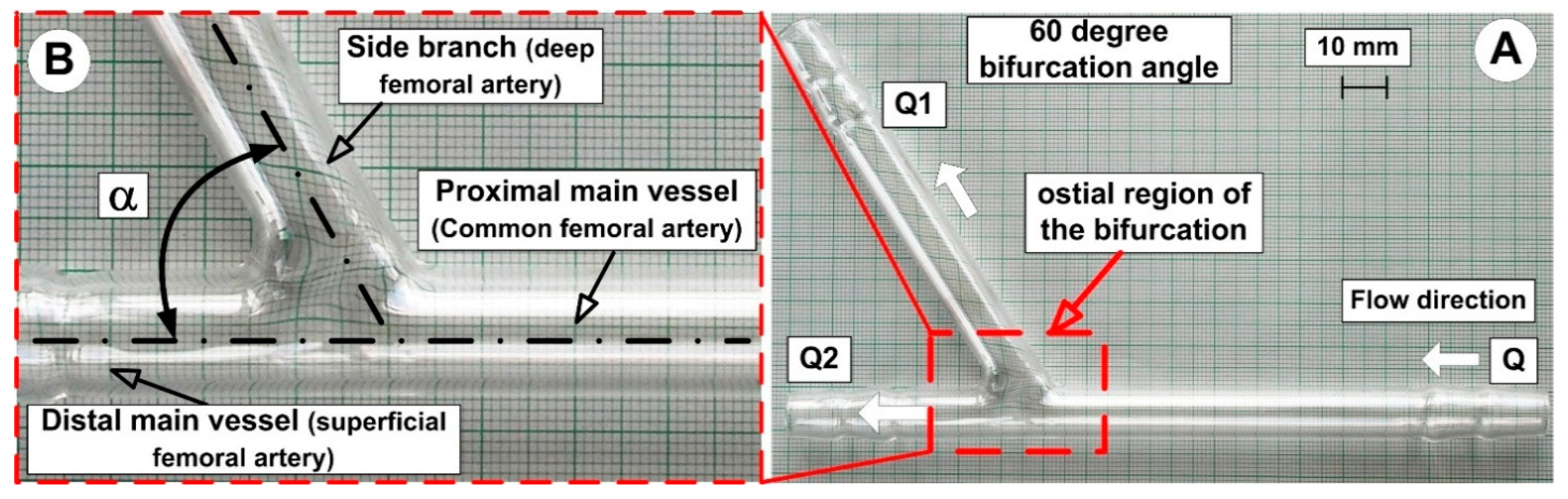 Molecules 24 02509 g004 Molecules 24 02509 g004