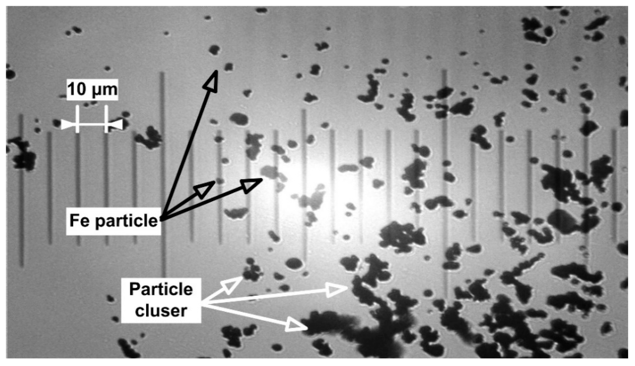 Molecules 24 02509 g007 Molecules 24 02509 g007