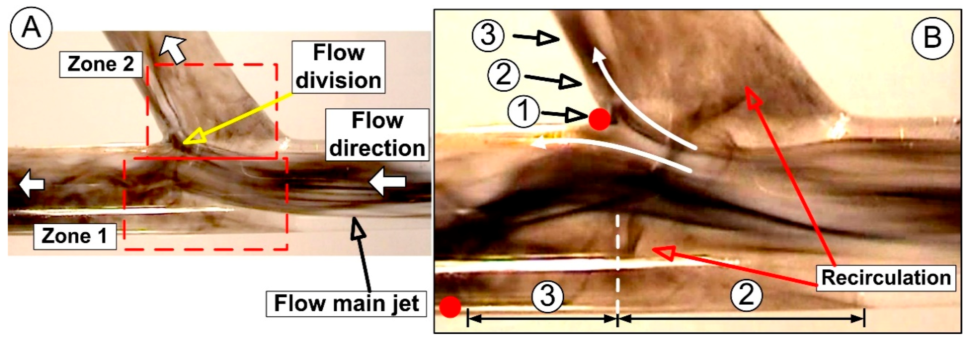 Molecules 24 02509 g011 Molecules 24 02509 g011