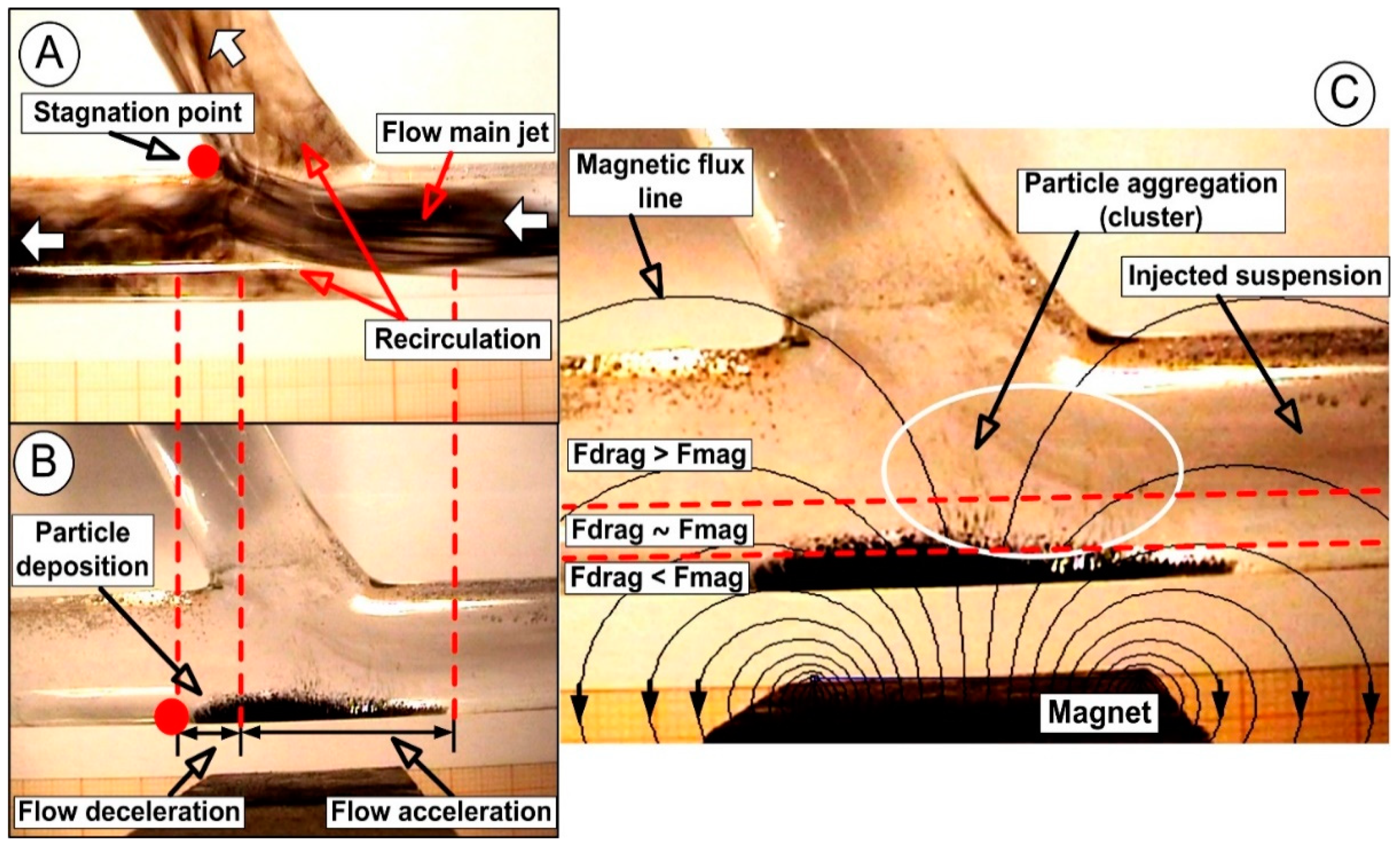 Molecules 24 02509 g012 Molecules 24 02509 g012