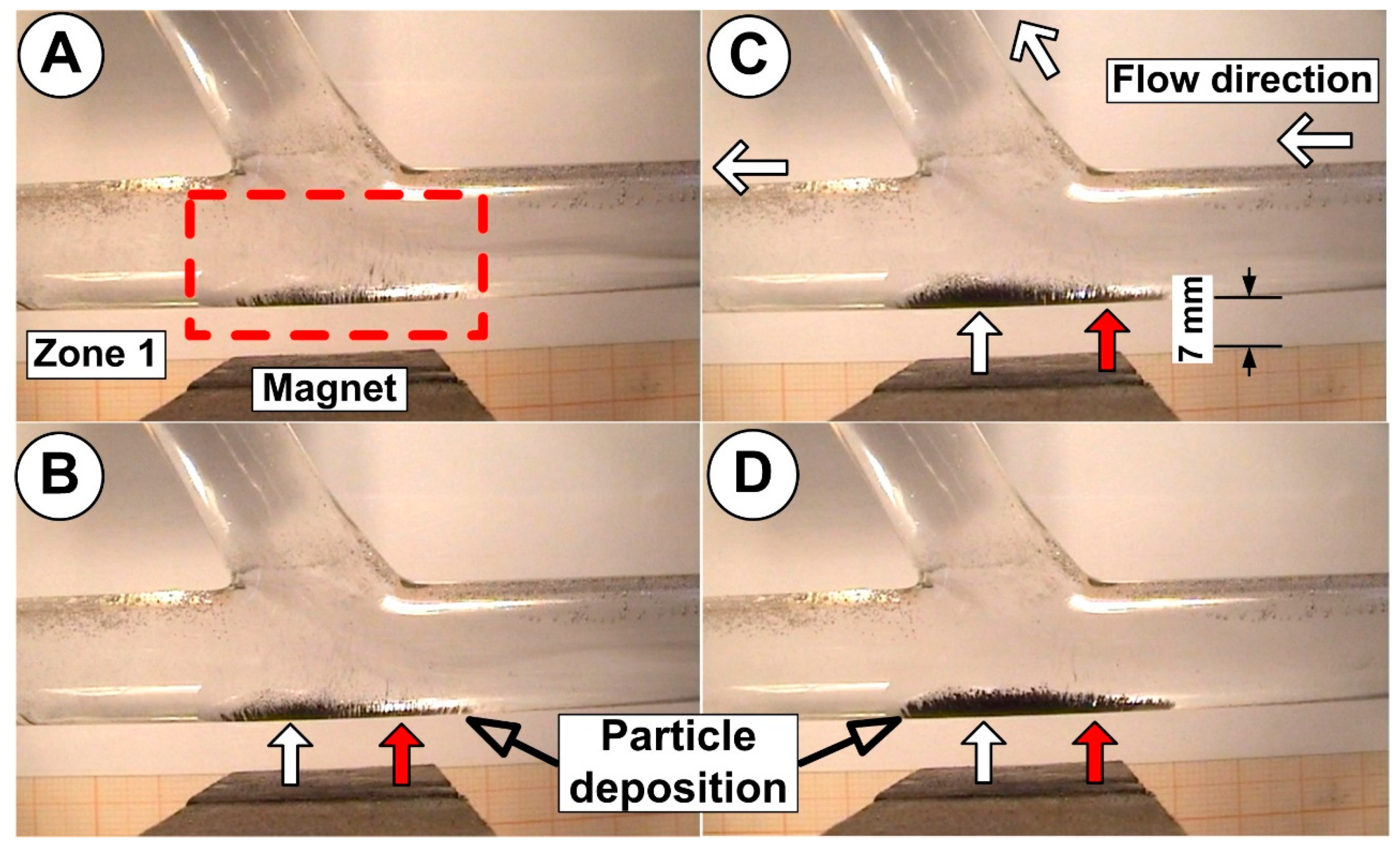 Molecules 24 02509 g013 Molecules 24 02509 g013