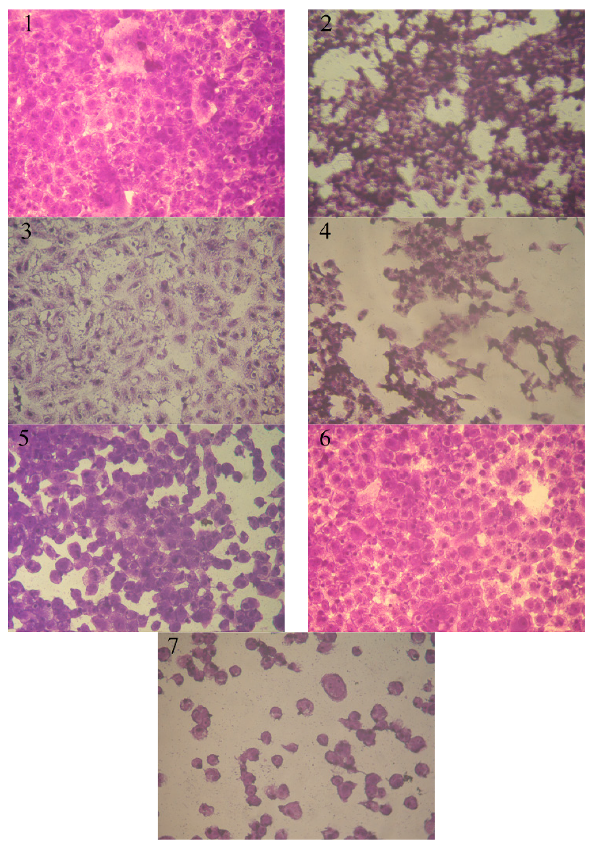 Molecules 24 02511 g002