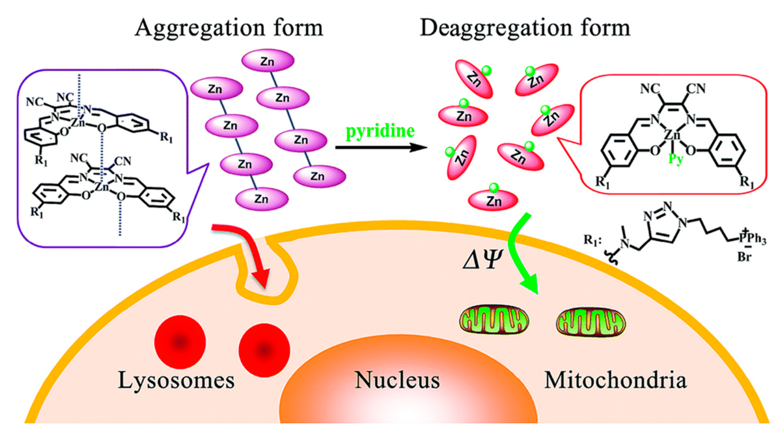 Molecules 24 02514 g020 Molecules 24 02514 g020