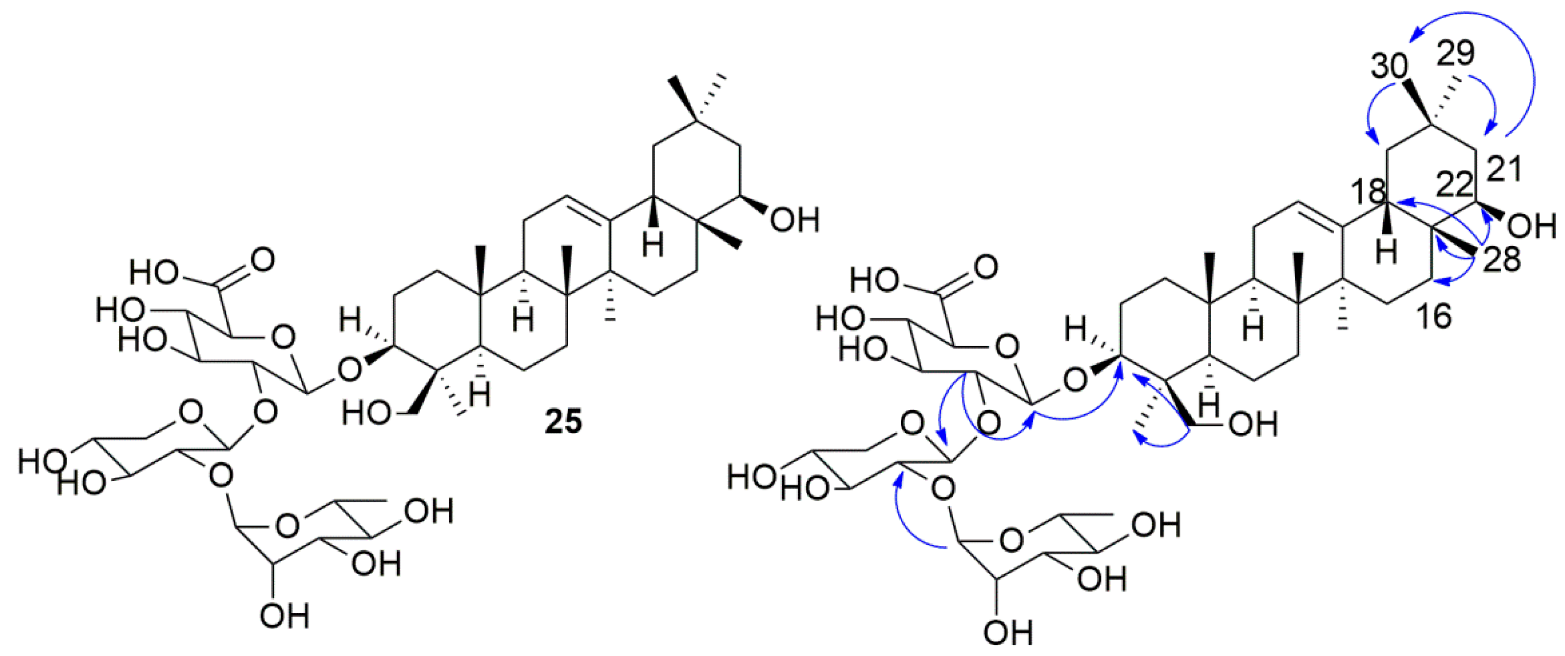 Molecules 24 02519 g004