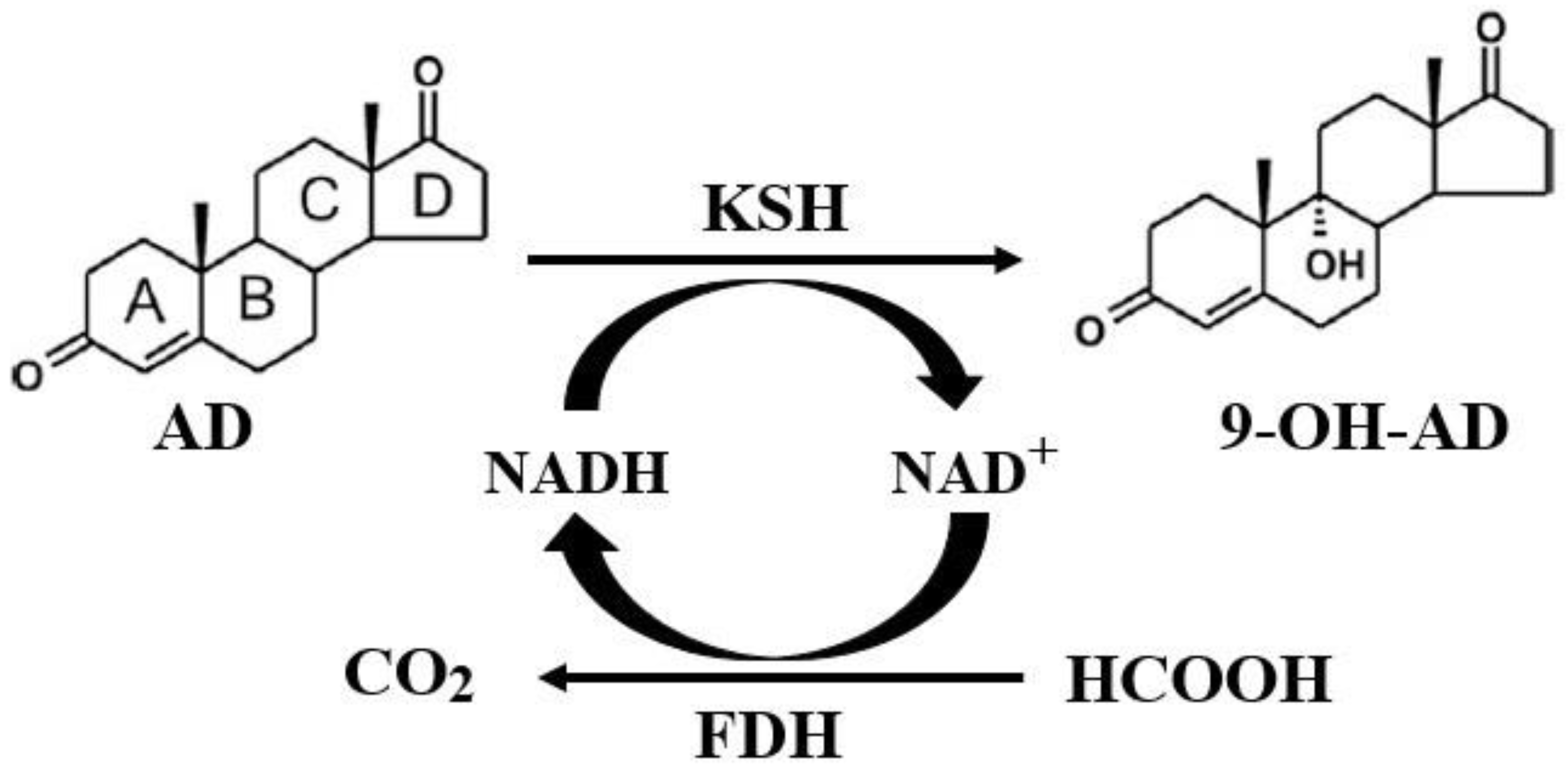 Molecules Free Full Text A Novel 3 Phytosterone 9α