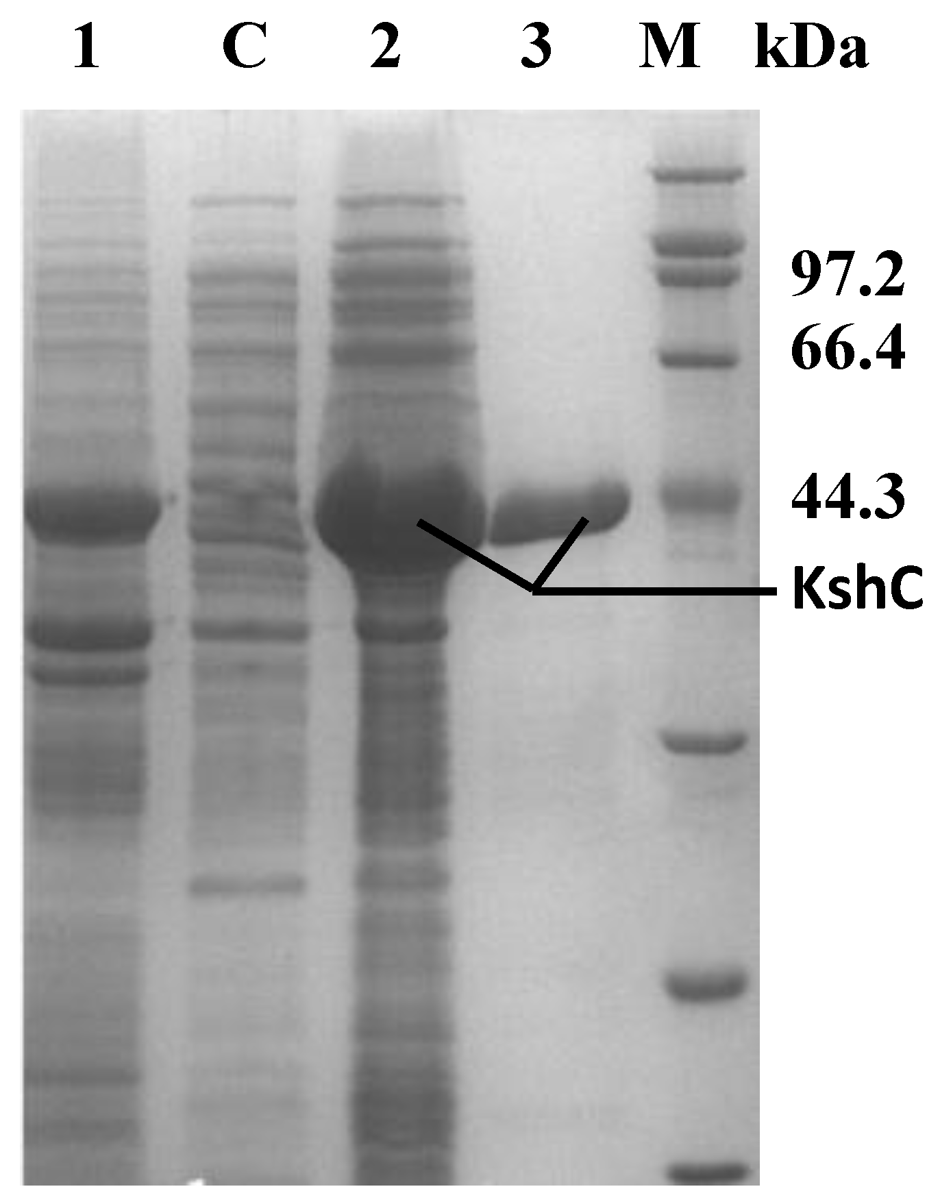 Molecules 24 02534 g003 Molecules 24 02534 g003