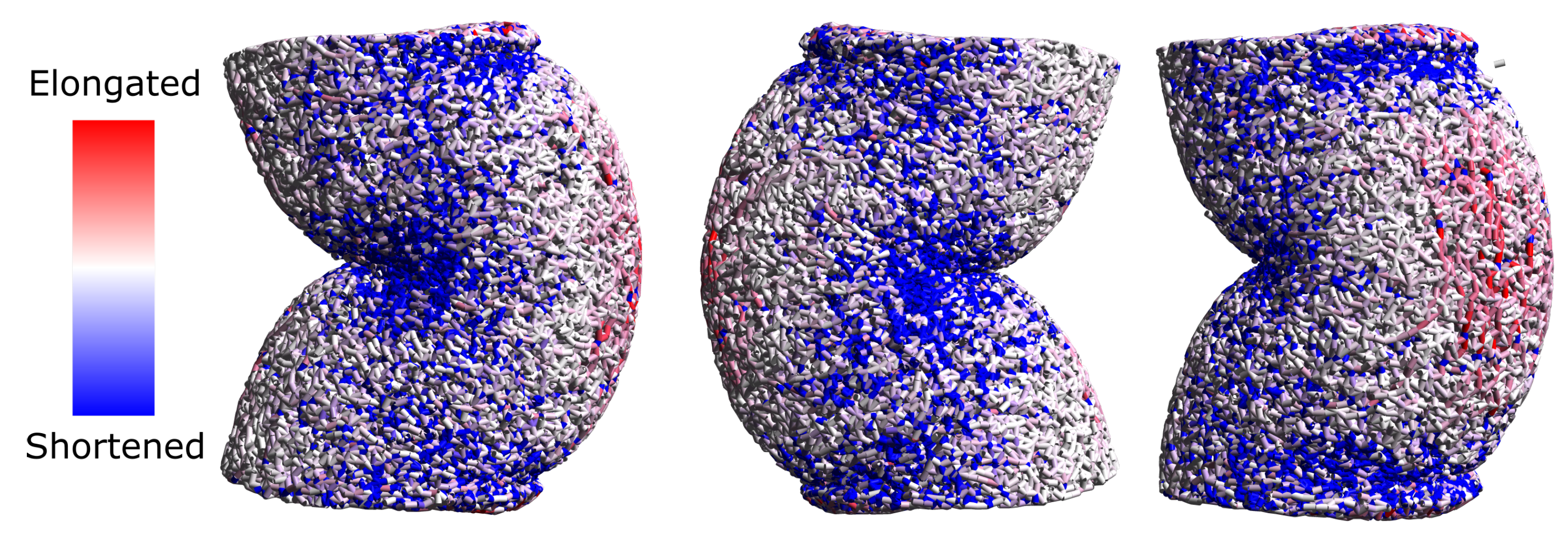 Molecules 24 02543 g006