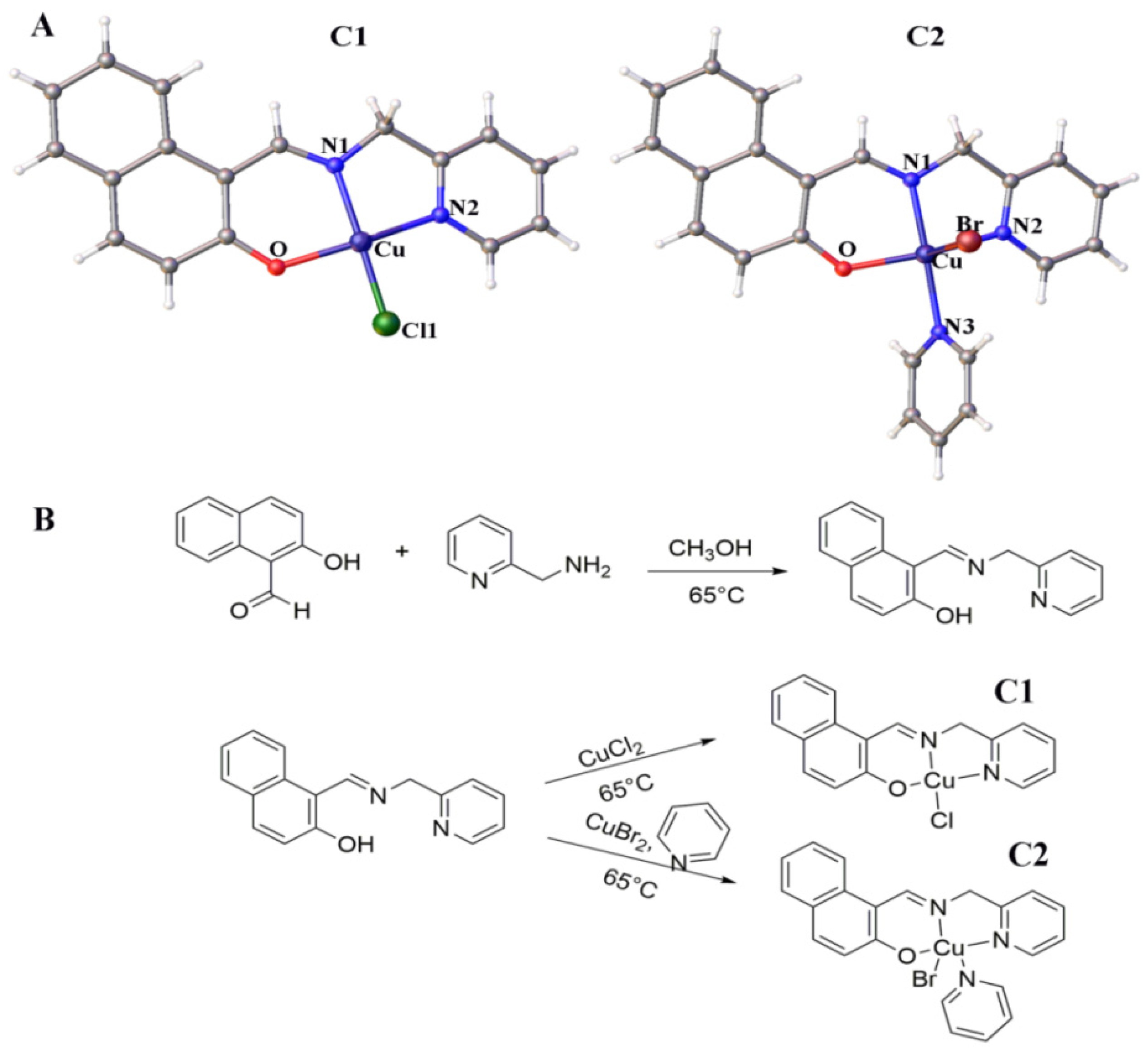 Molecules 24 02544 g001 Molecules 24 02544 g001