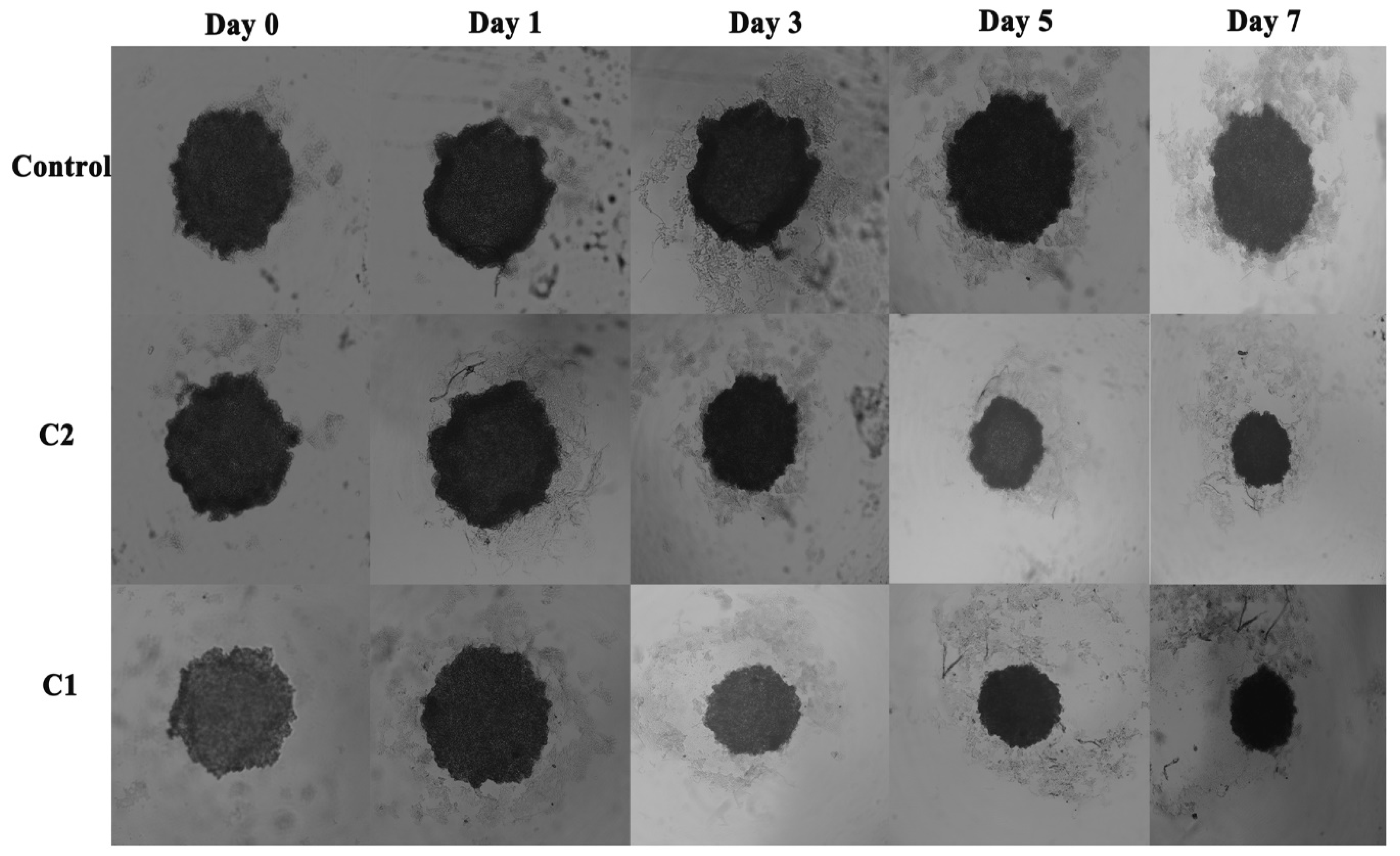 Molecules 24 02544 g003 Molecules 24 02544 g003