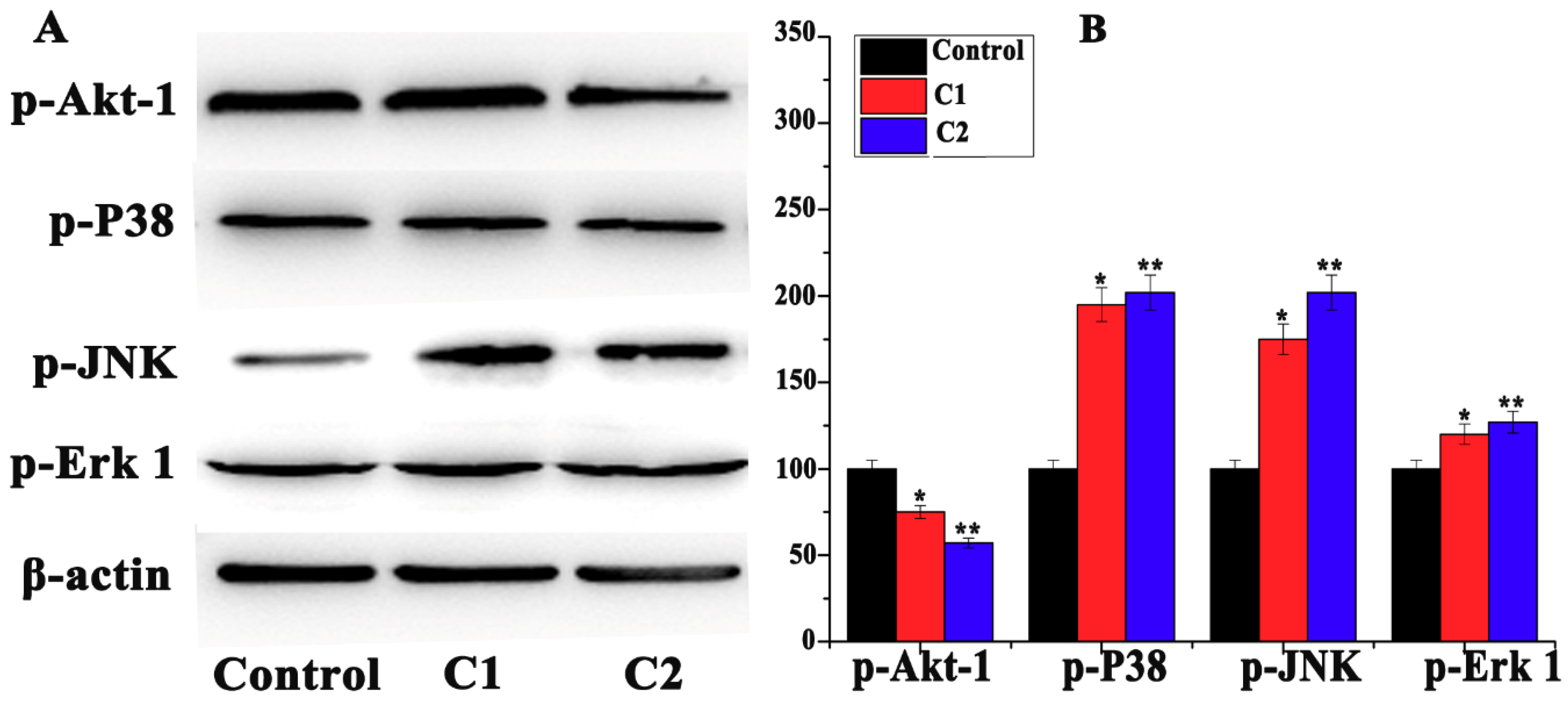 Molecules 24 02544 g009 Molecules 24 02544 g009