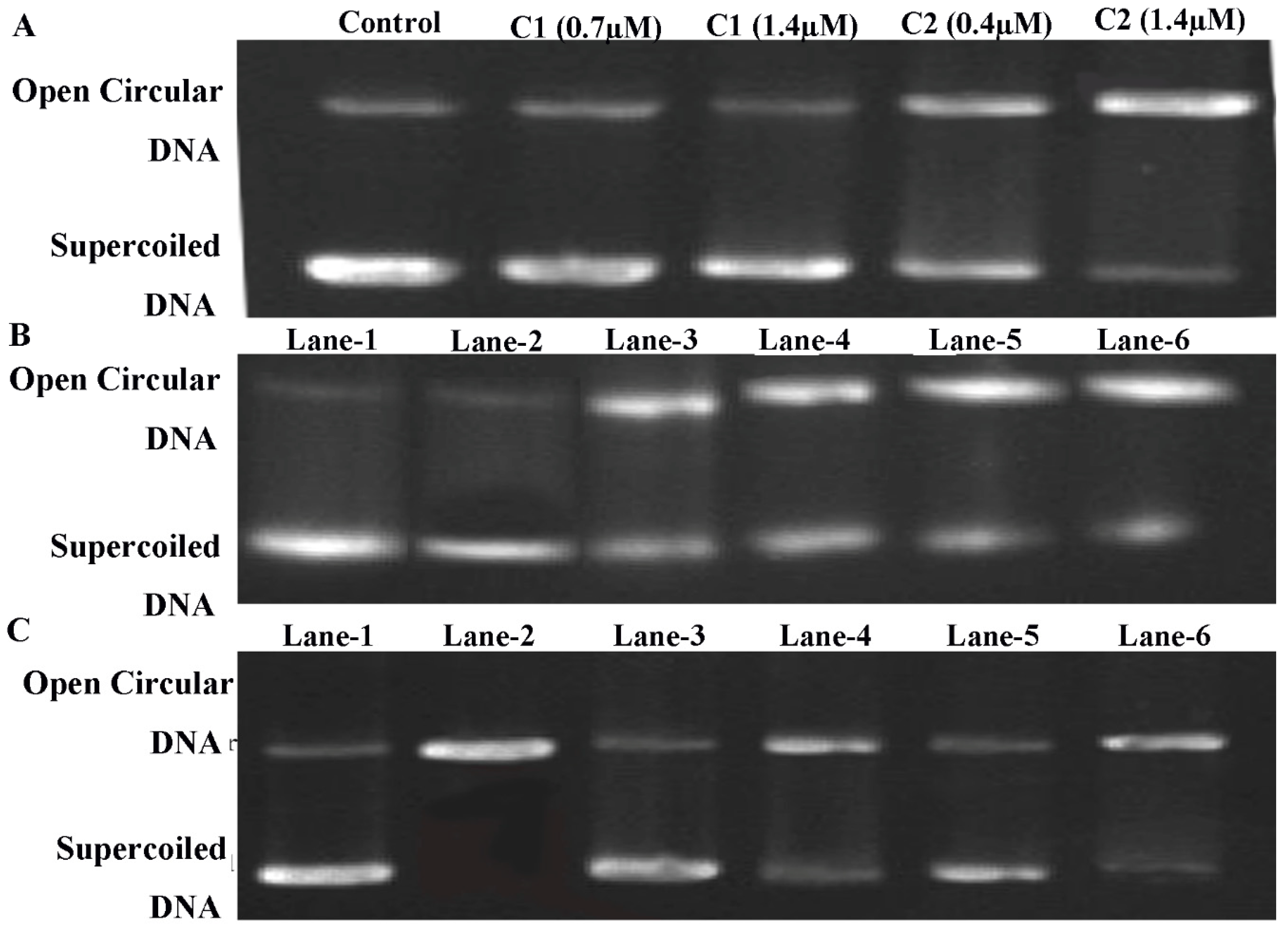 Molecules 24 02544 g010 Molecules 24 02544 g010