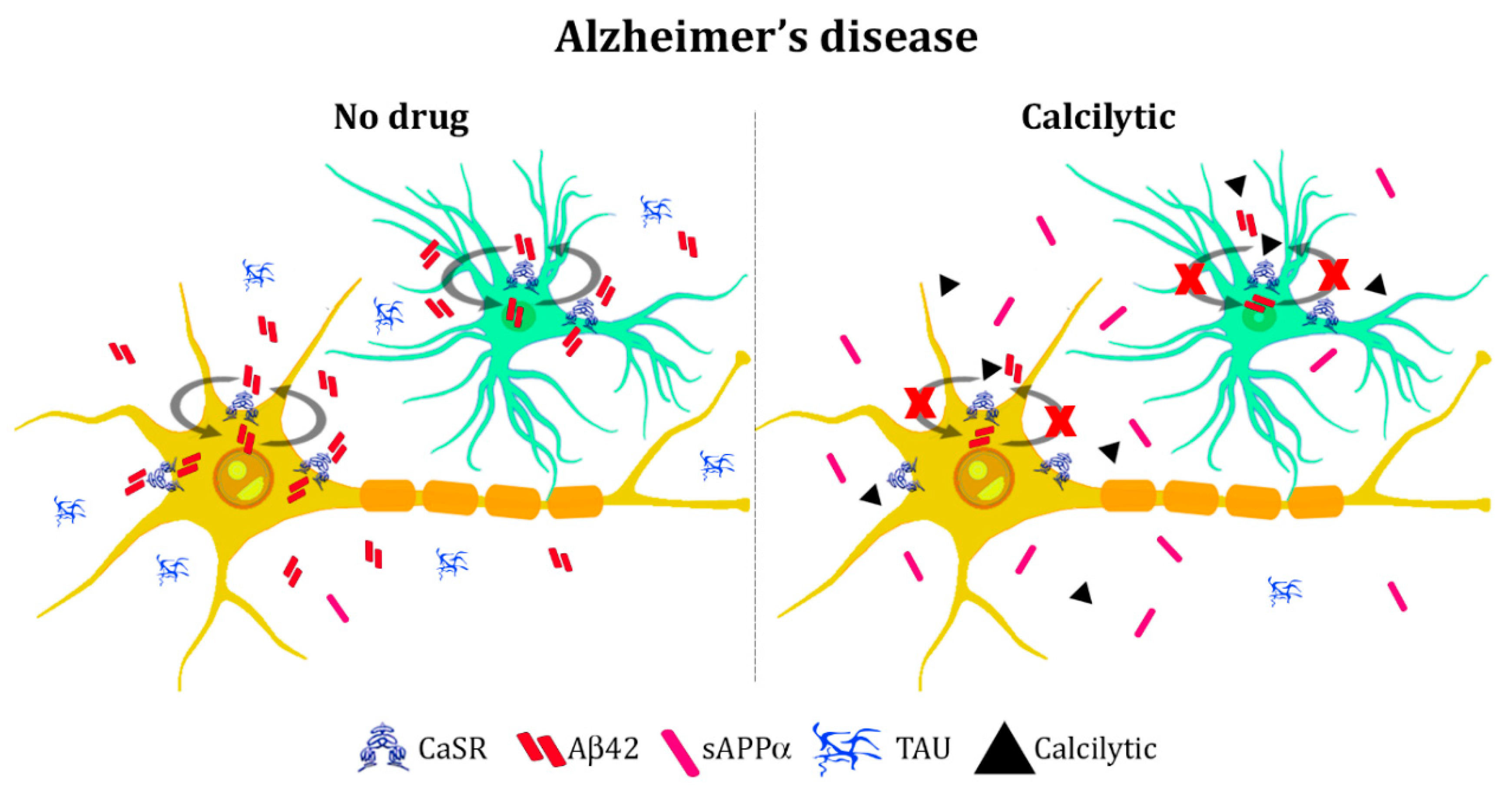 Molecules 24 02546 g002 Molecules 24 02546 g002
