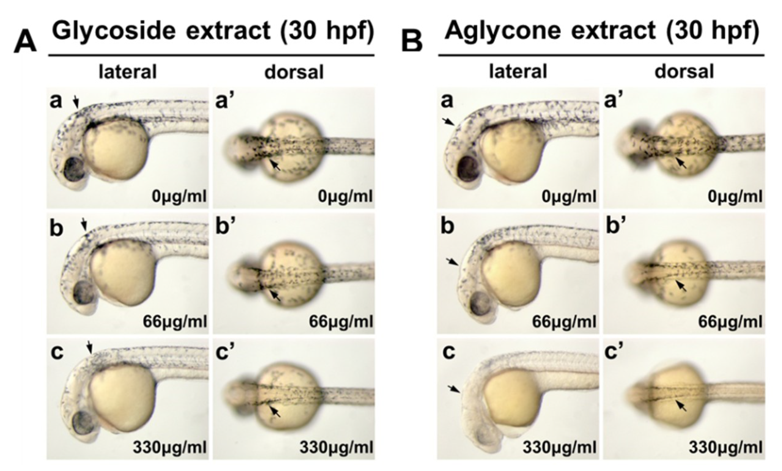 Molecules 24 02549 g003